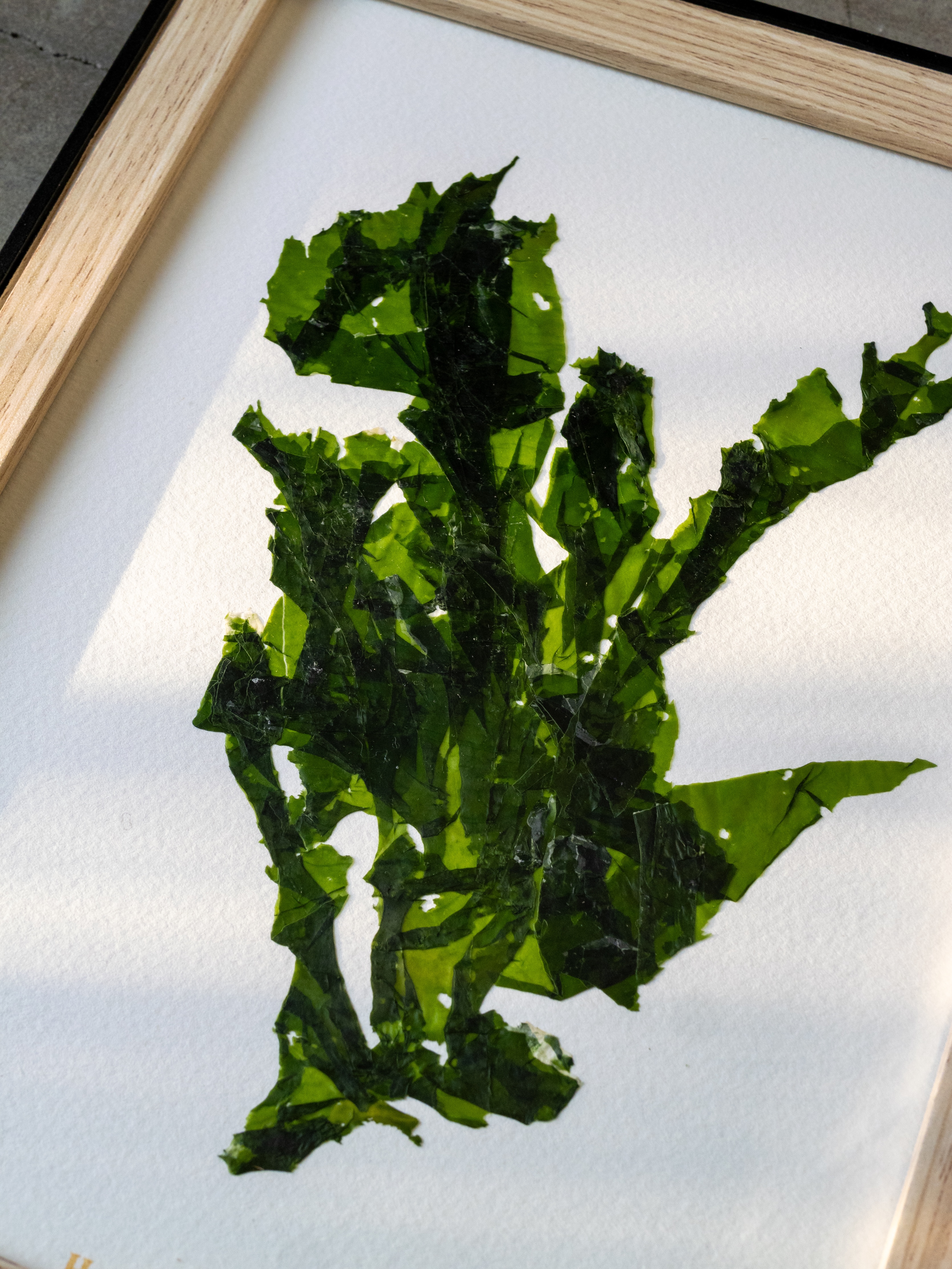 Alguier Feuille d'Océan 🌿 - Format 18 x 24 cm