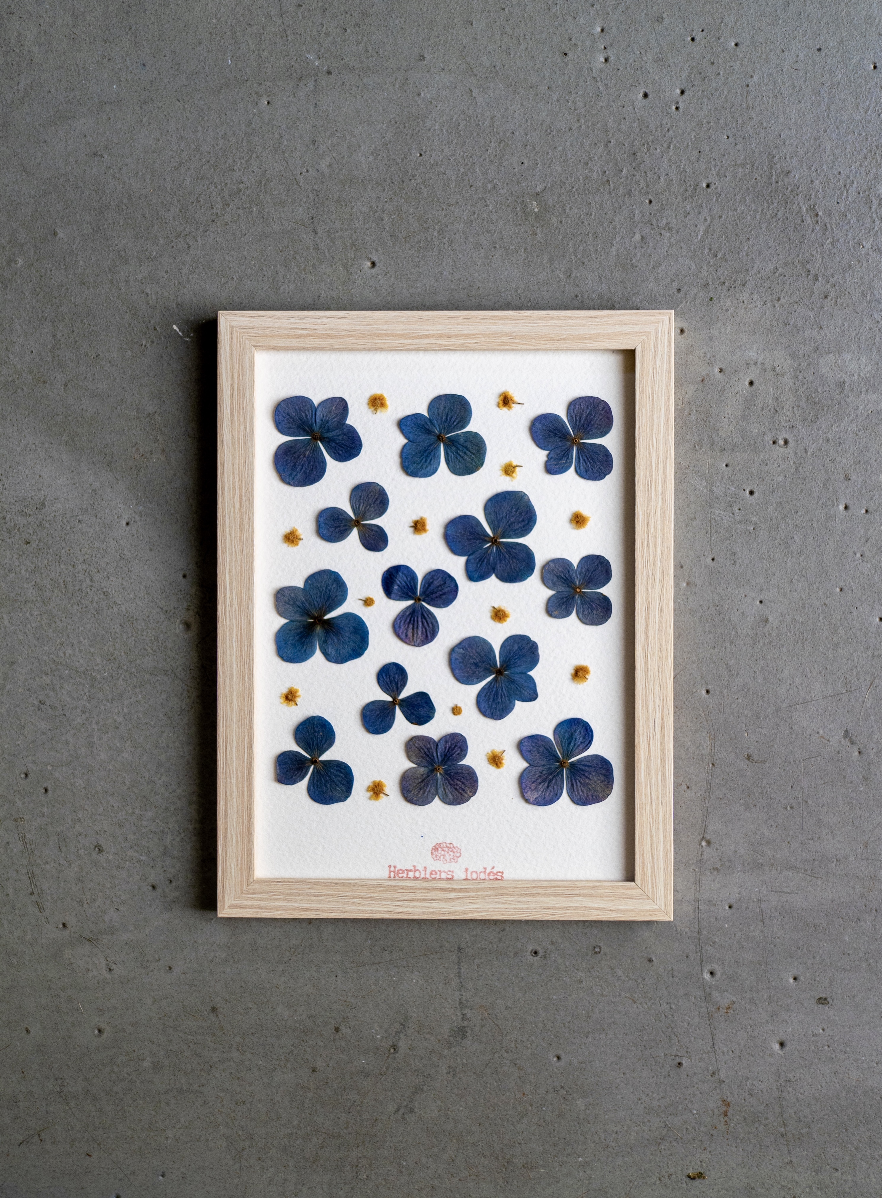 Herbier "Océan  Doré" -  13 x 18 cm