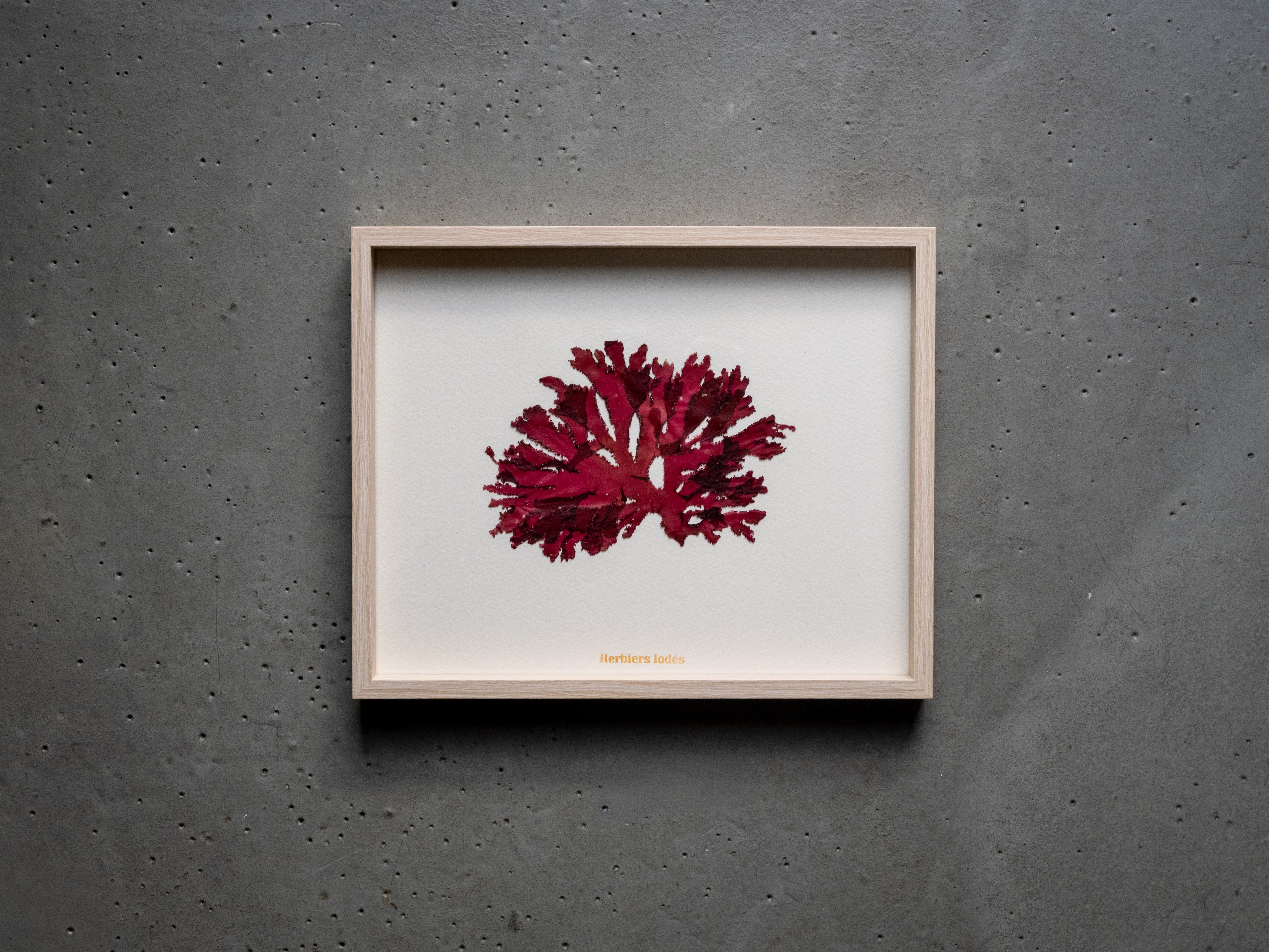 Alguier Rubis de Pors-Béni 💎 - Format 20 x 25 cm