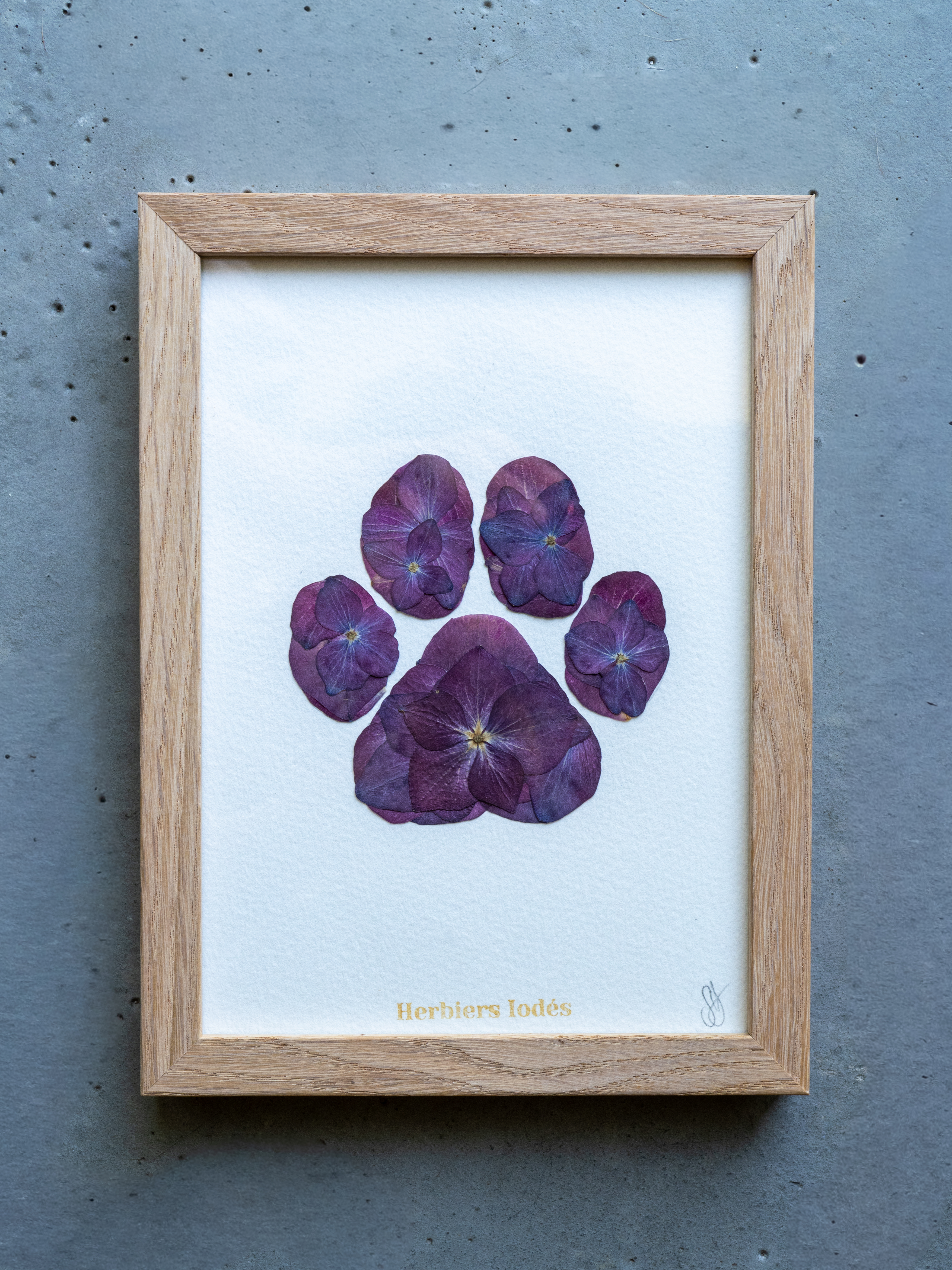 "Patte de Chien" Herbier Floral - 13 x 18 cm