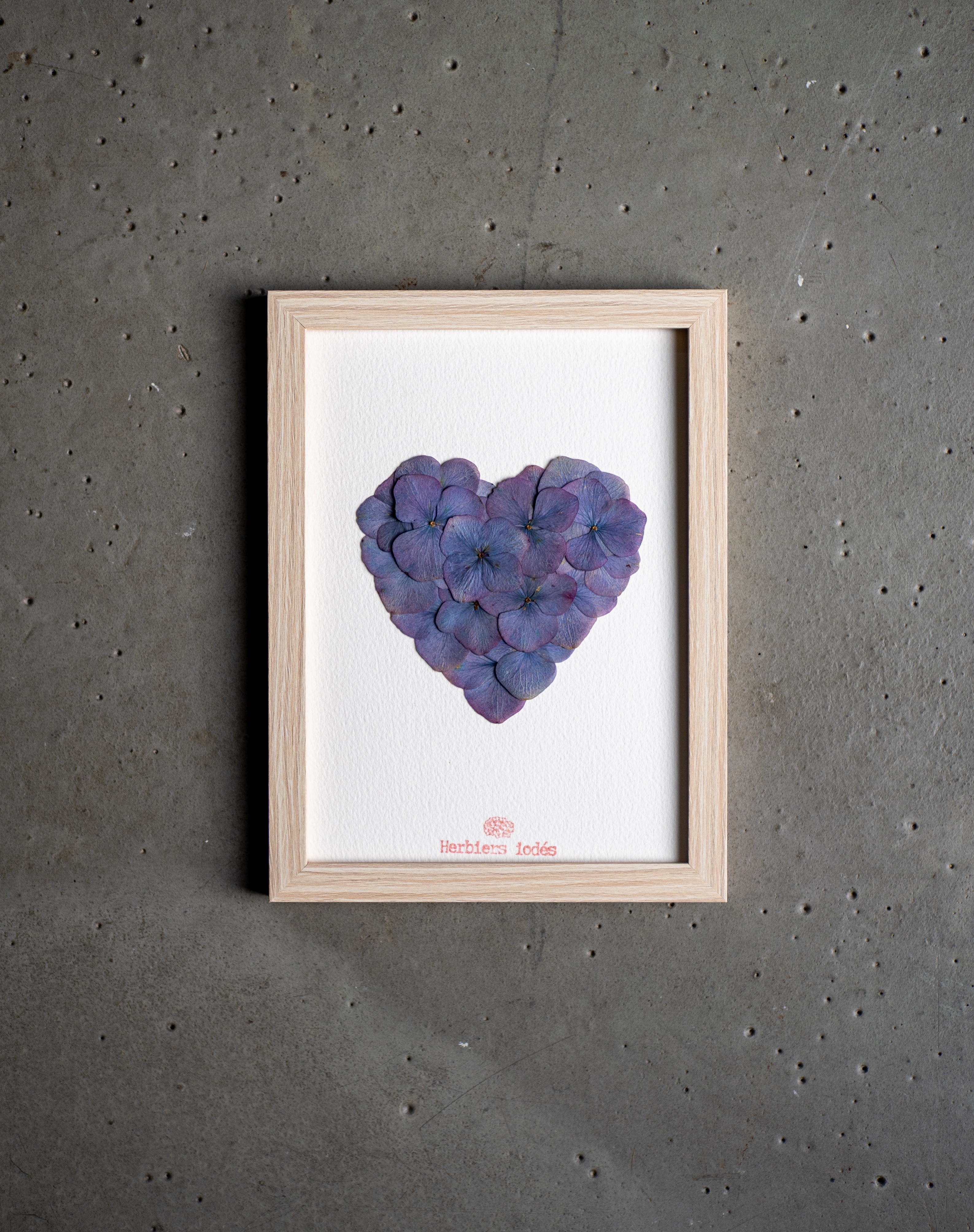 Herbier "Coeur Crépuscule"  hortensias - 13 x 18 cm