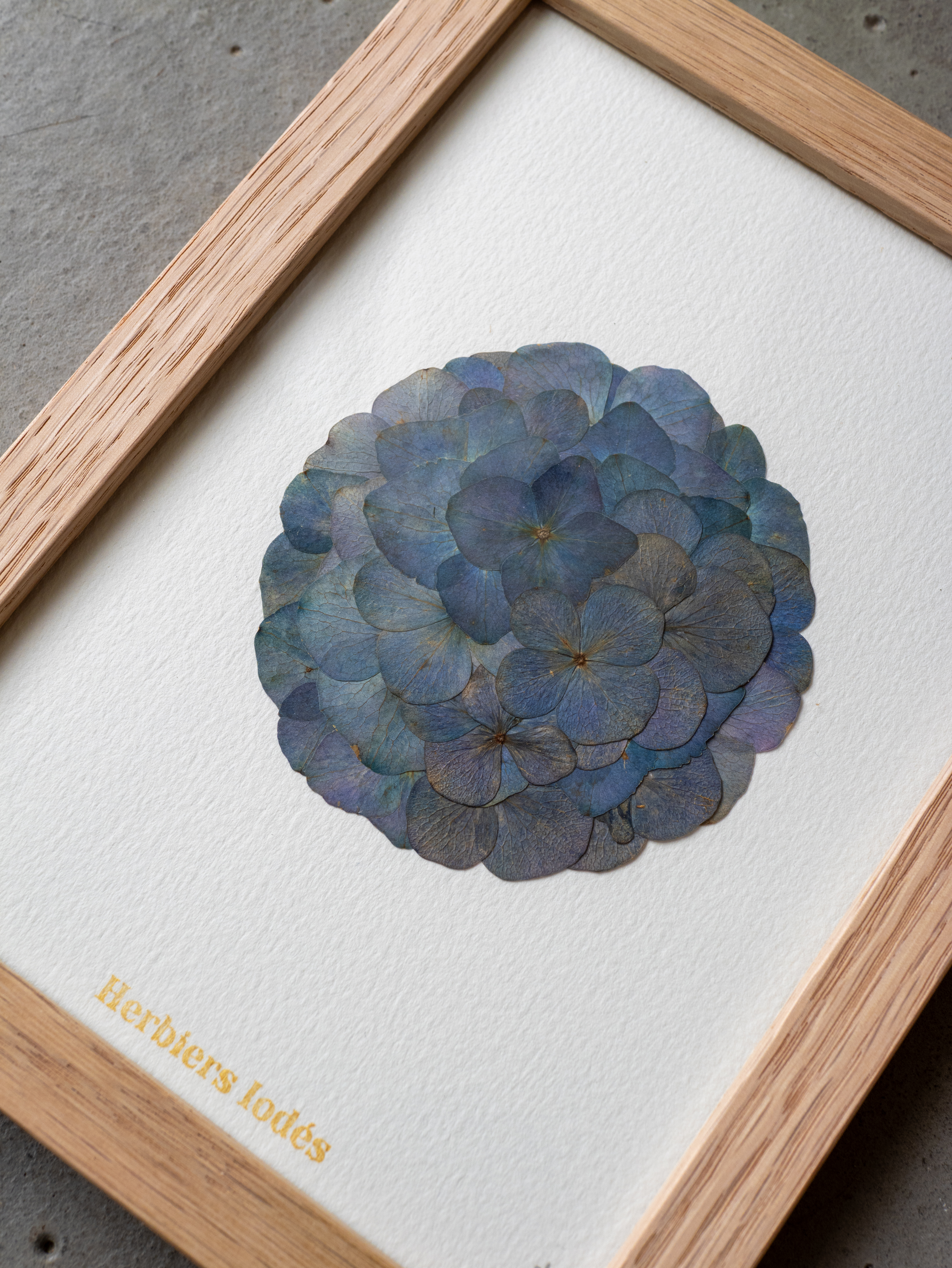 "Mini Mandala Iodé - Abysses" Herbier d'hortensias - 13 x 18 cm