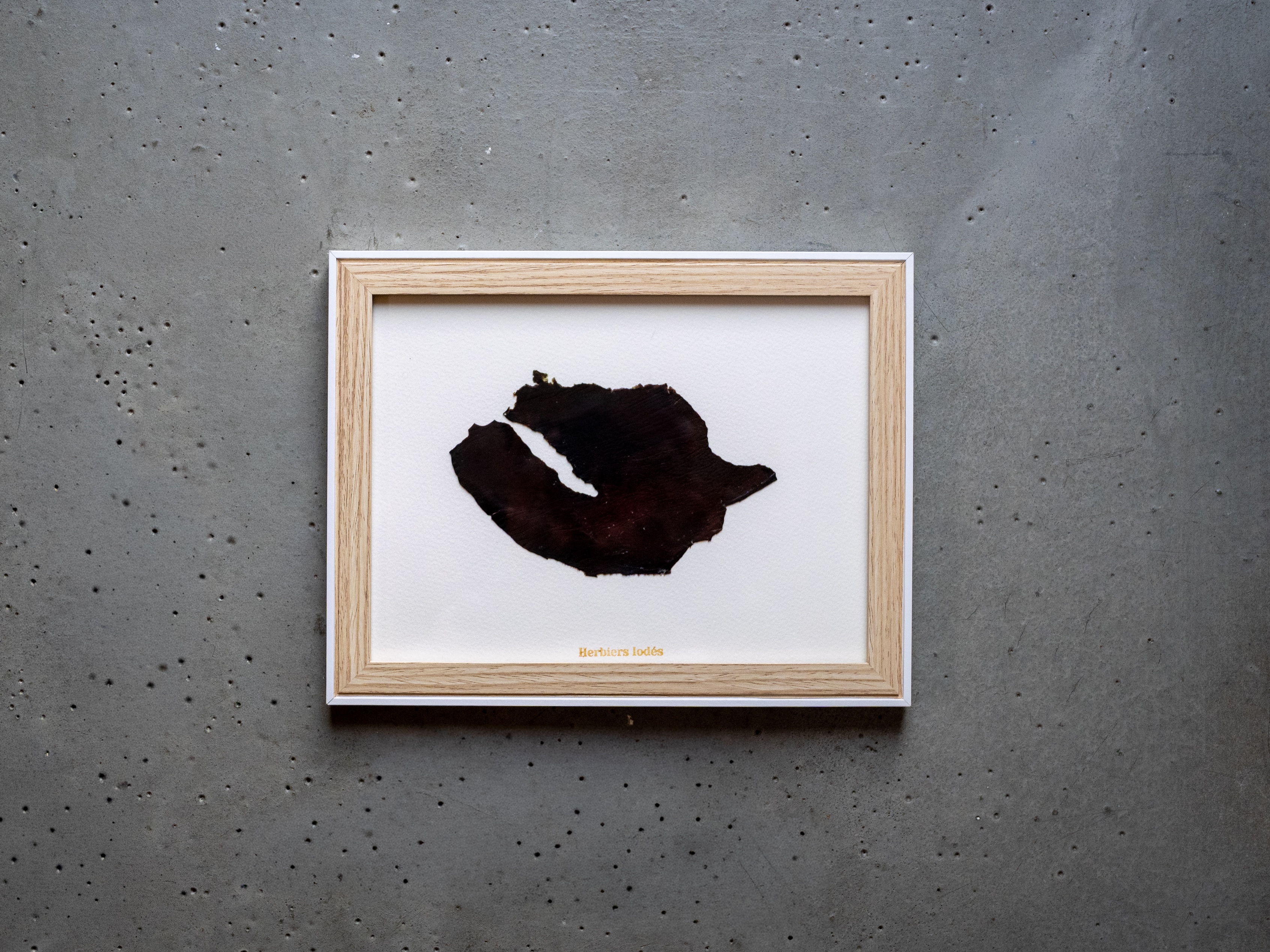 Alguier Cuir Marin 🖤 - Format 18 x 24 cm