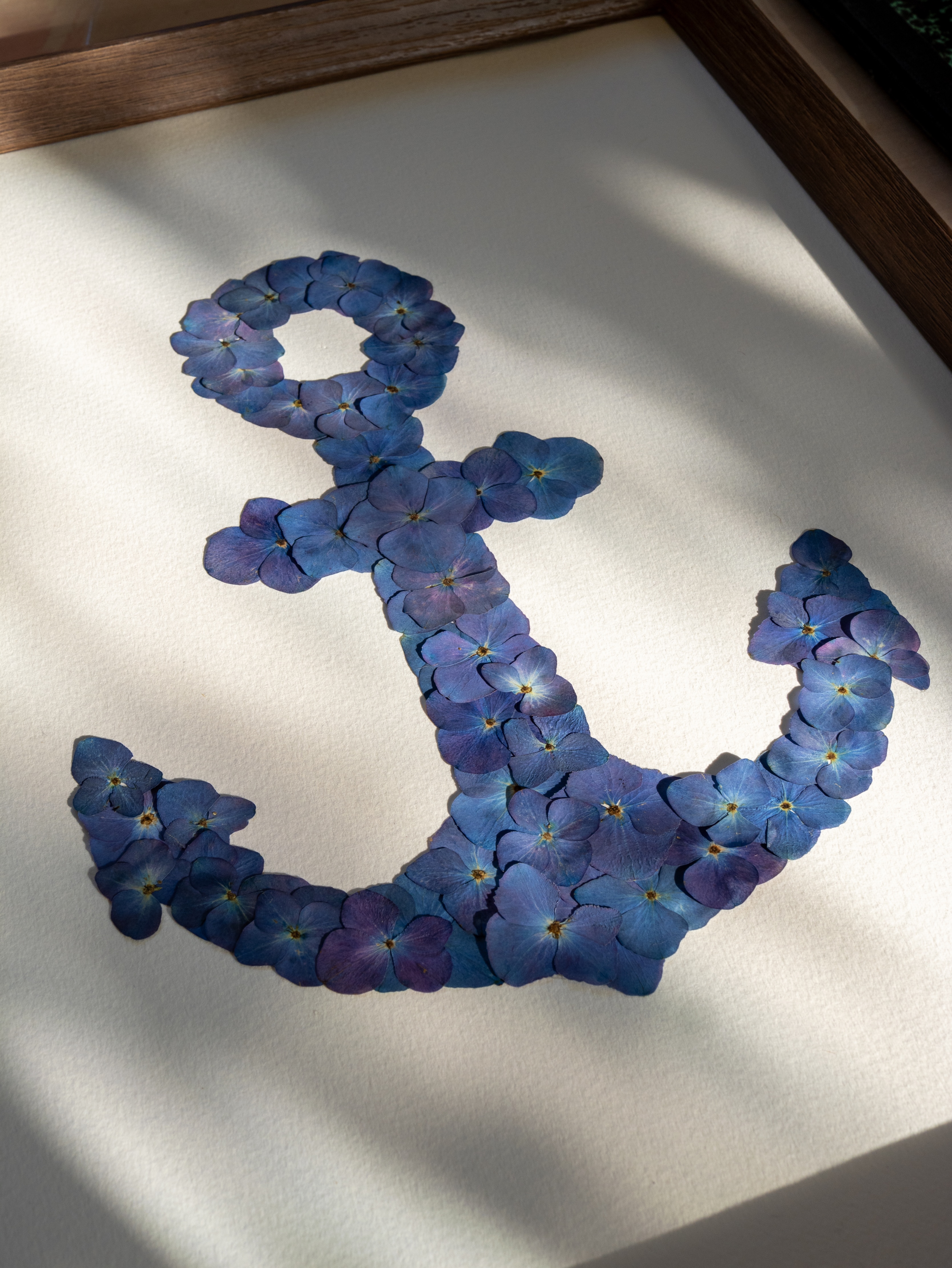 "Ancre Bretonne" Herbier d'hortensias - 30 x 40 cm