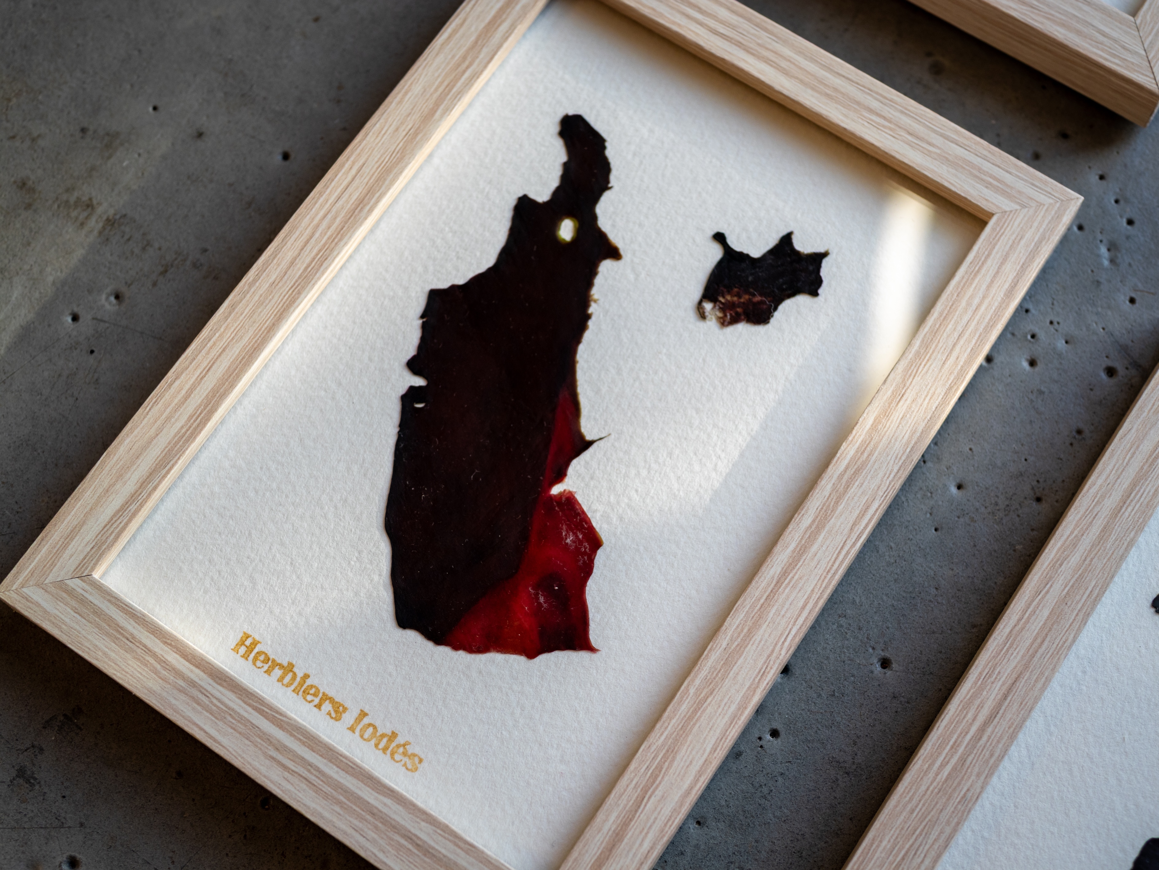 Alguier Éclat Rouge  - Format 10 x 15 cm