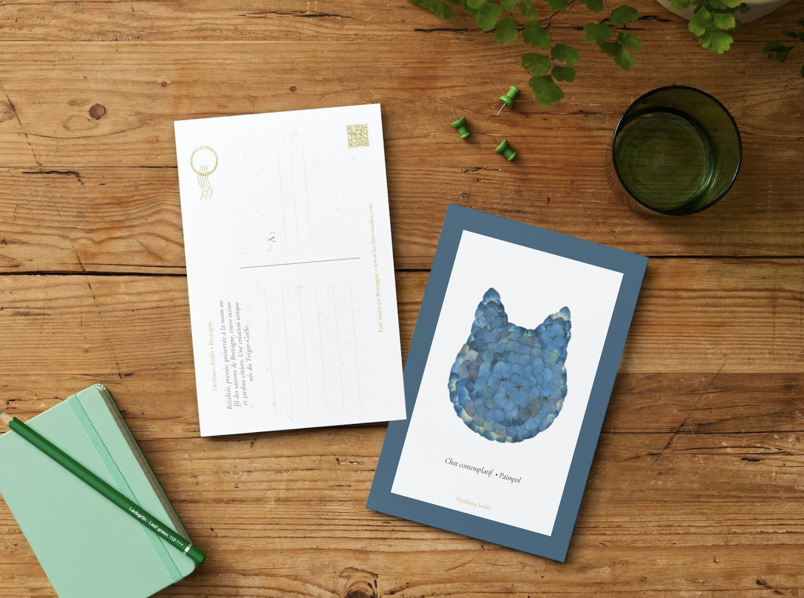 Carte postale "Chat contemplatif"