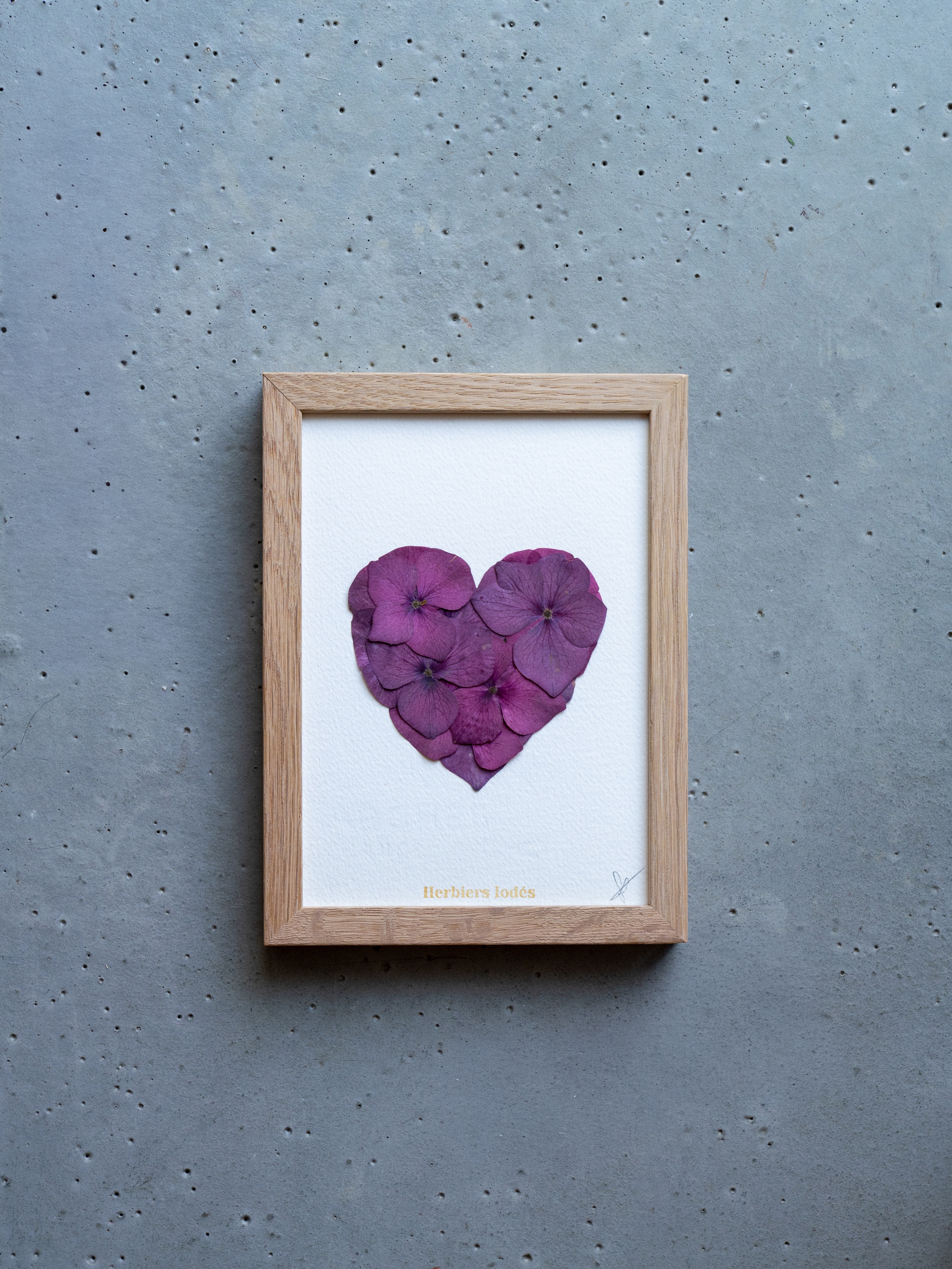"Coeur Pourpre" Herbier Floral - 13 x 18 cm