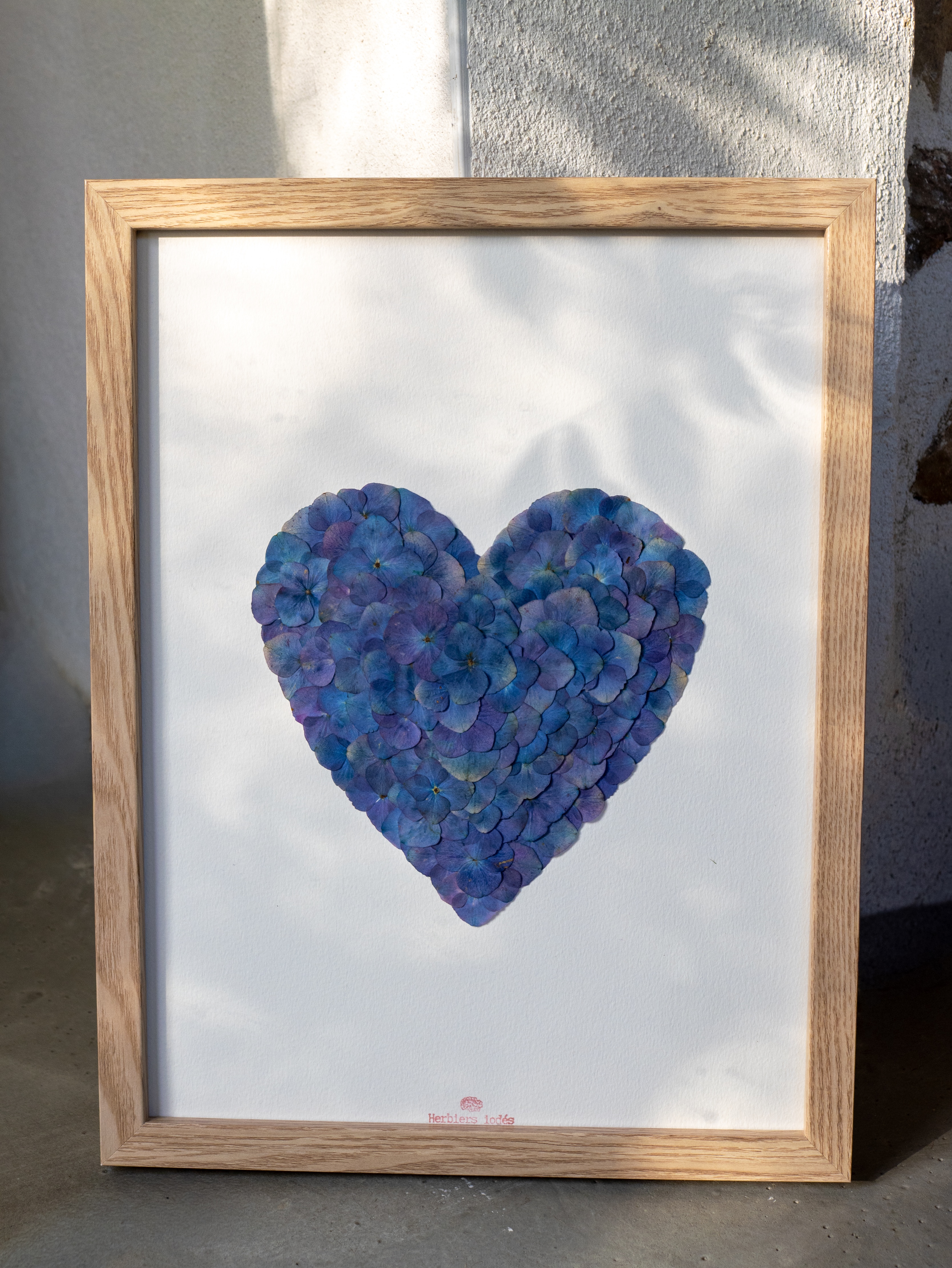 "Coeur écailles océanes" Herbier d'hortensias - 30 x 40 cm