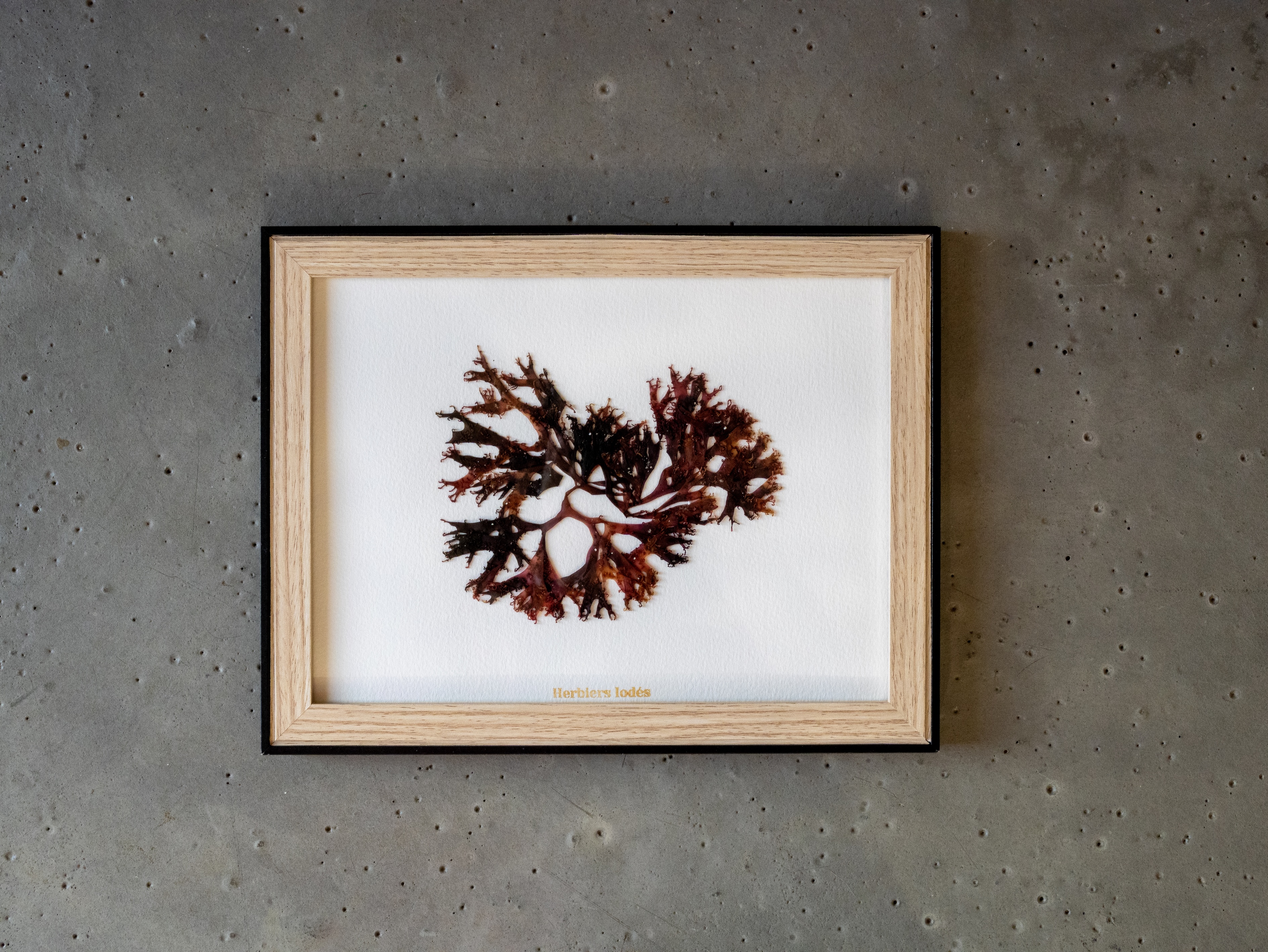 Alguier Dégradé d'Automne 🍂 - Format 18 x 24 cm