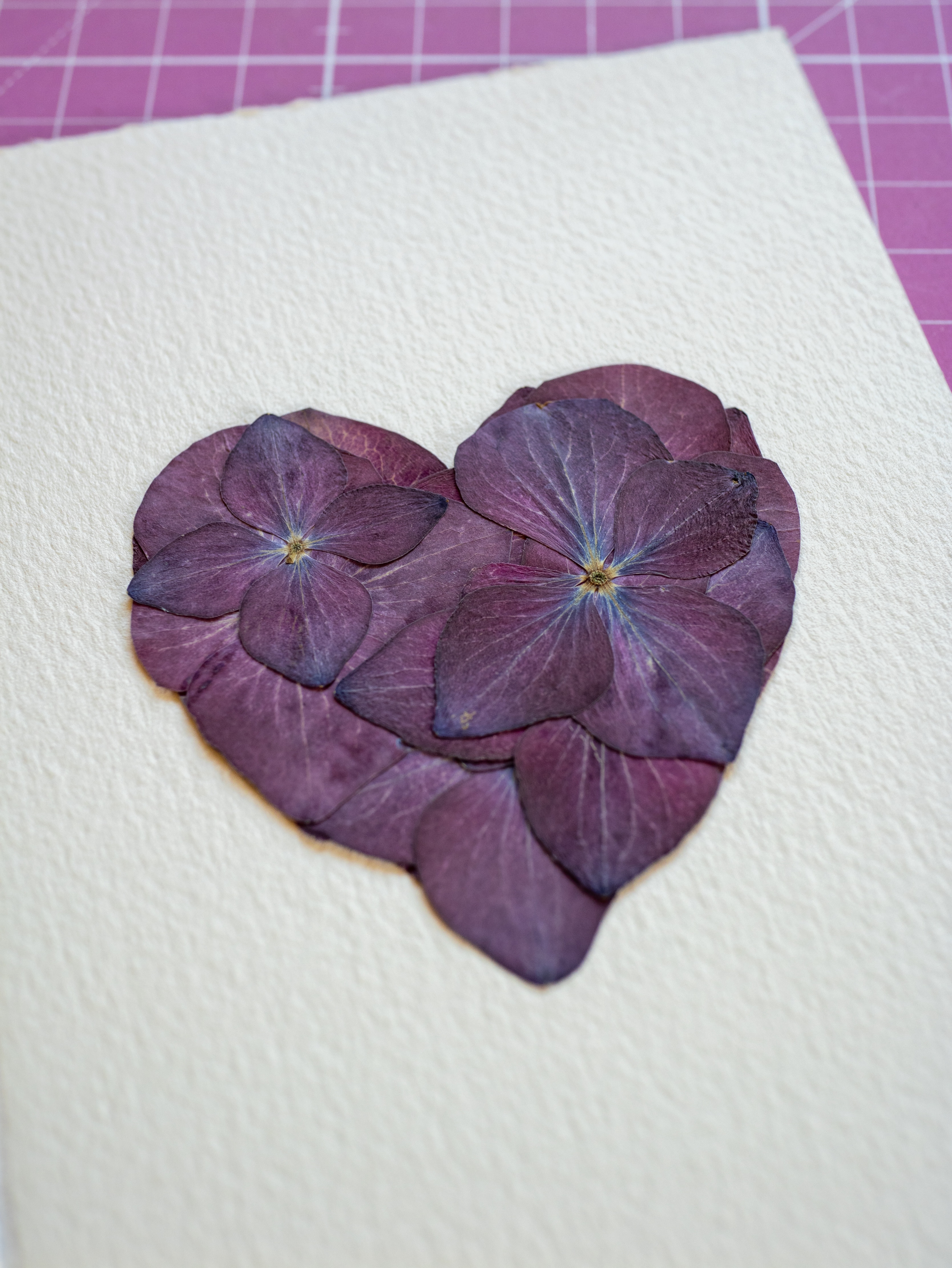 "Mini Coeur Violet" Herbier Floral - 10 x 15 cm