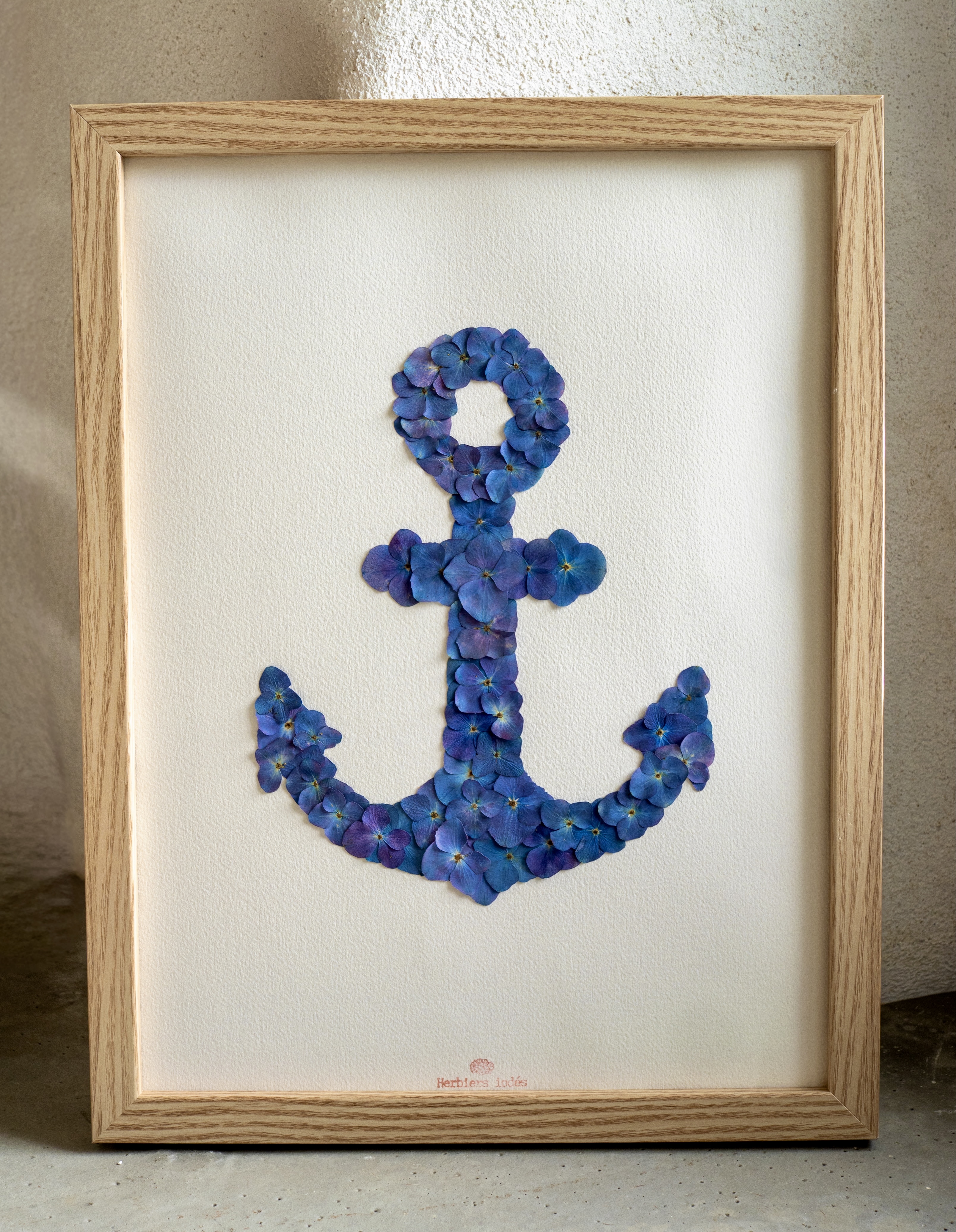 "Ancre Bretonne" Herbier d'hortensias - 30 x 40 cm