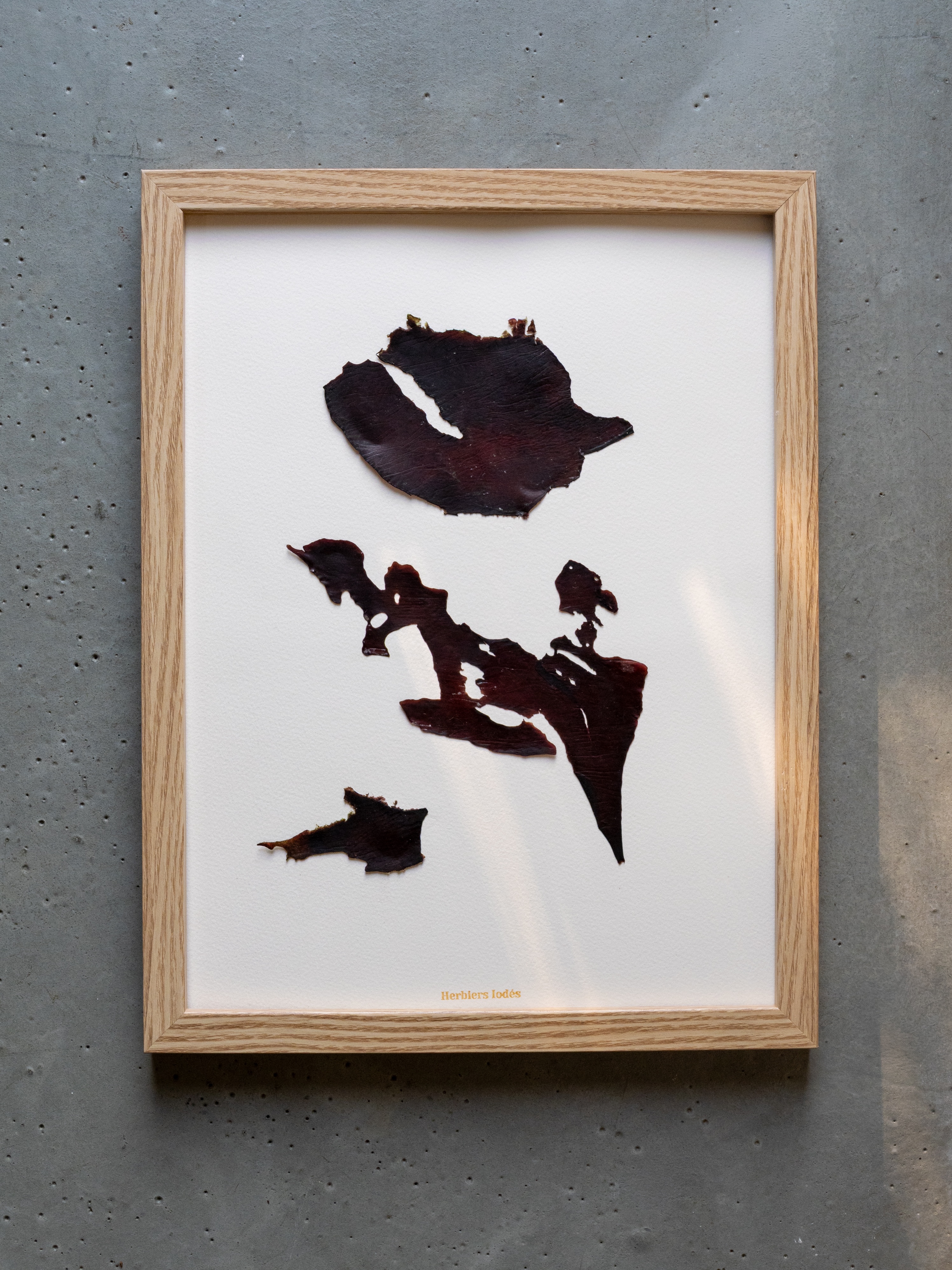 Alguier Cartographie des Profondeurs 🗺️  Format 30 x 40 cm