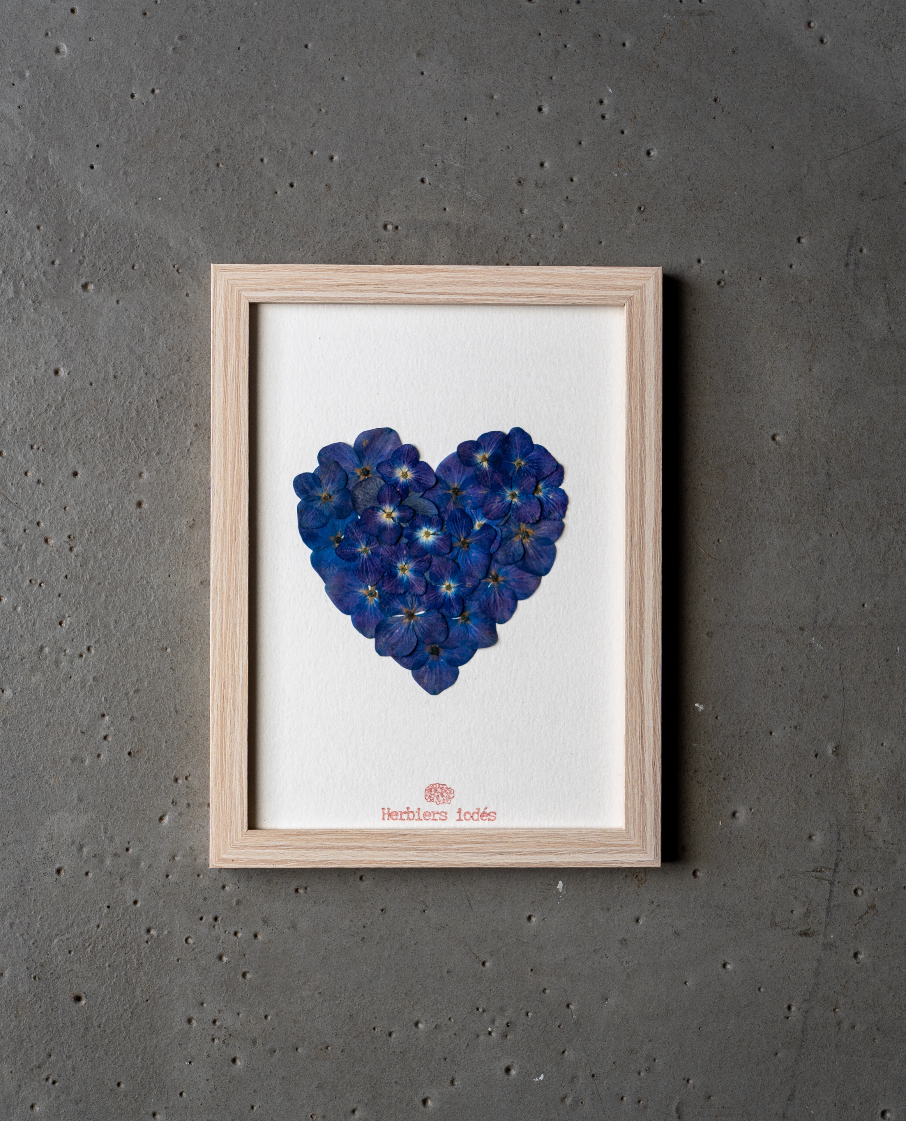 "Coeur Bleu de Paimpol 💙" - Herbier Hortensias 13 x 18 cm
