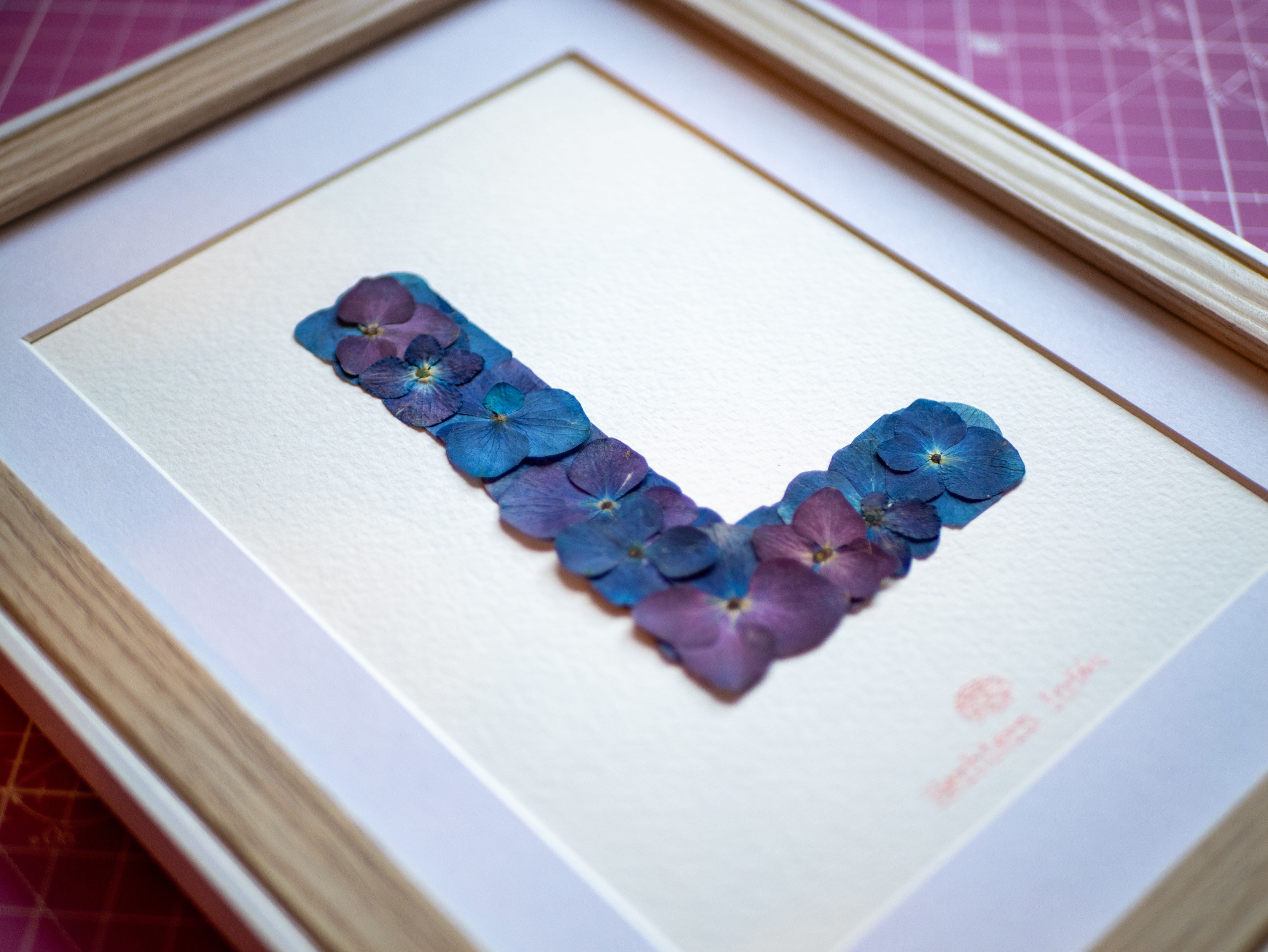 Herbier "Alphabet Iodé" Collection Hortensia