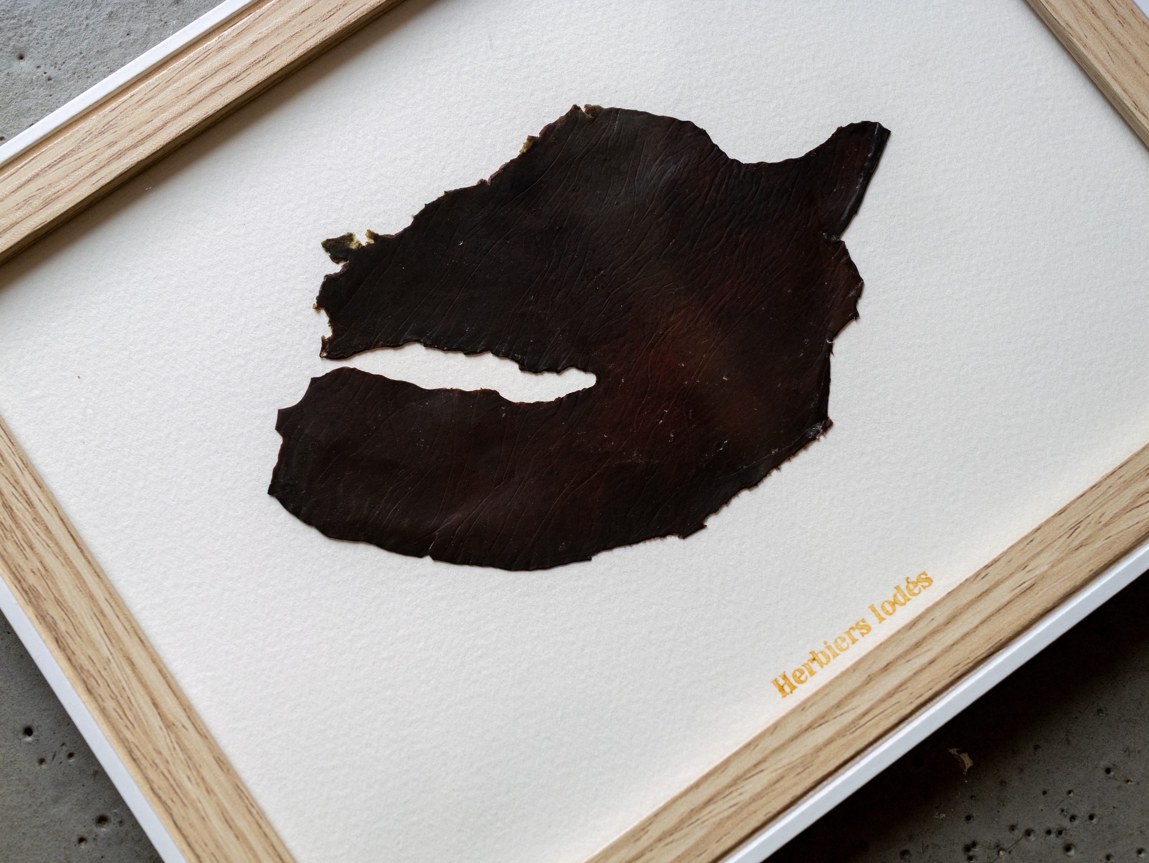 Alguier Cuir Marin 🖤 - Format 18 x 24 cm