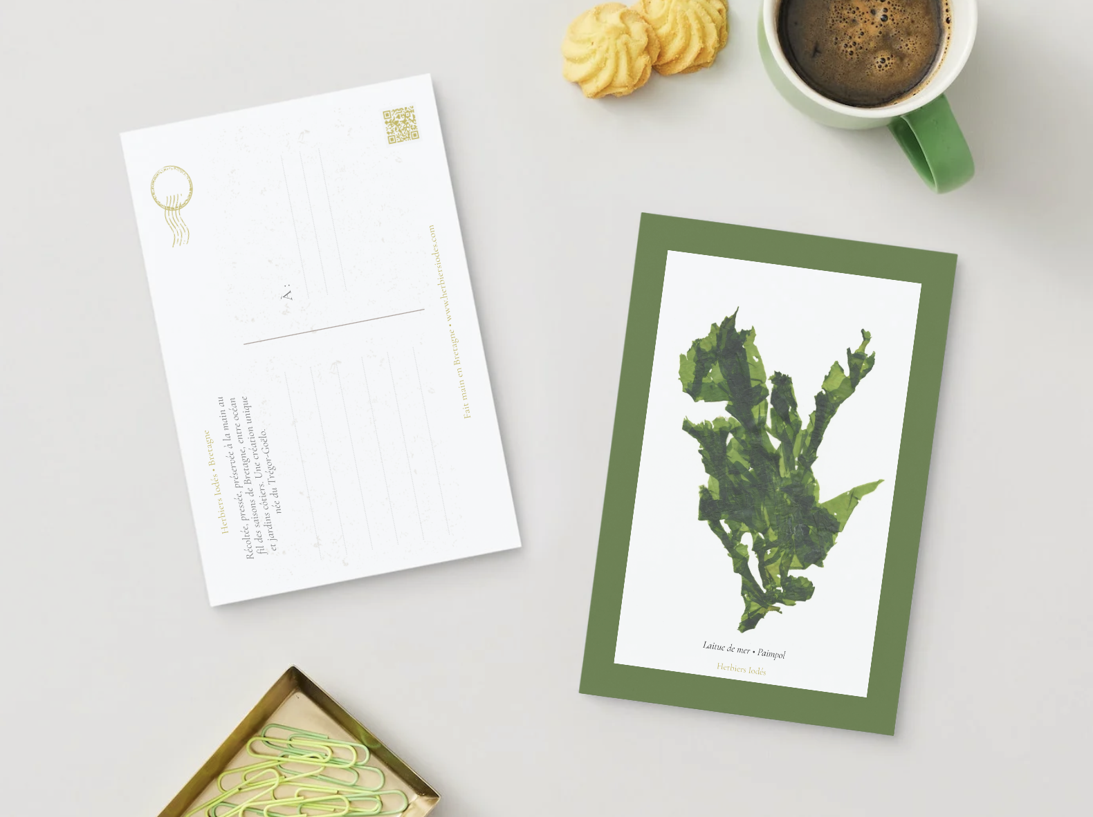 Carte postale "Laitue de mer"