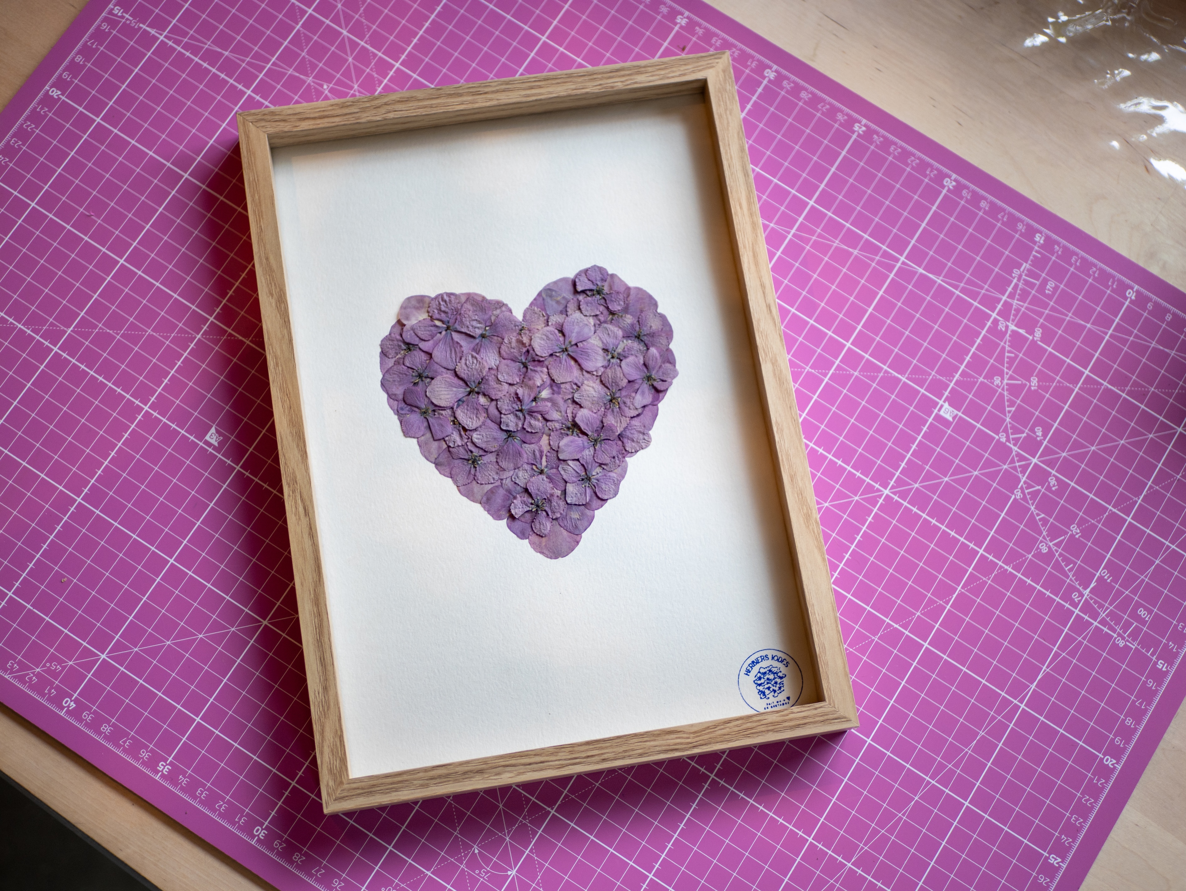 Herbier "Coeur Mauve de Bretagne"