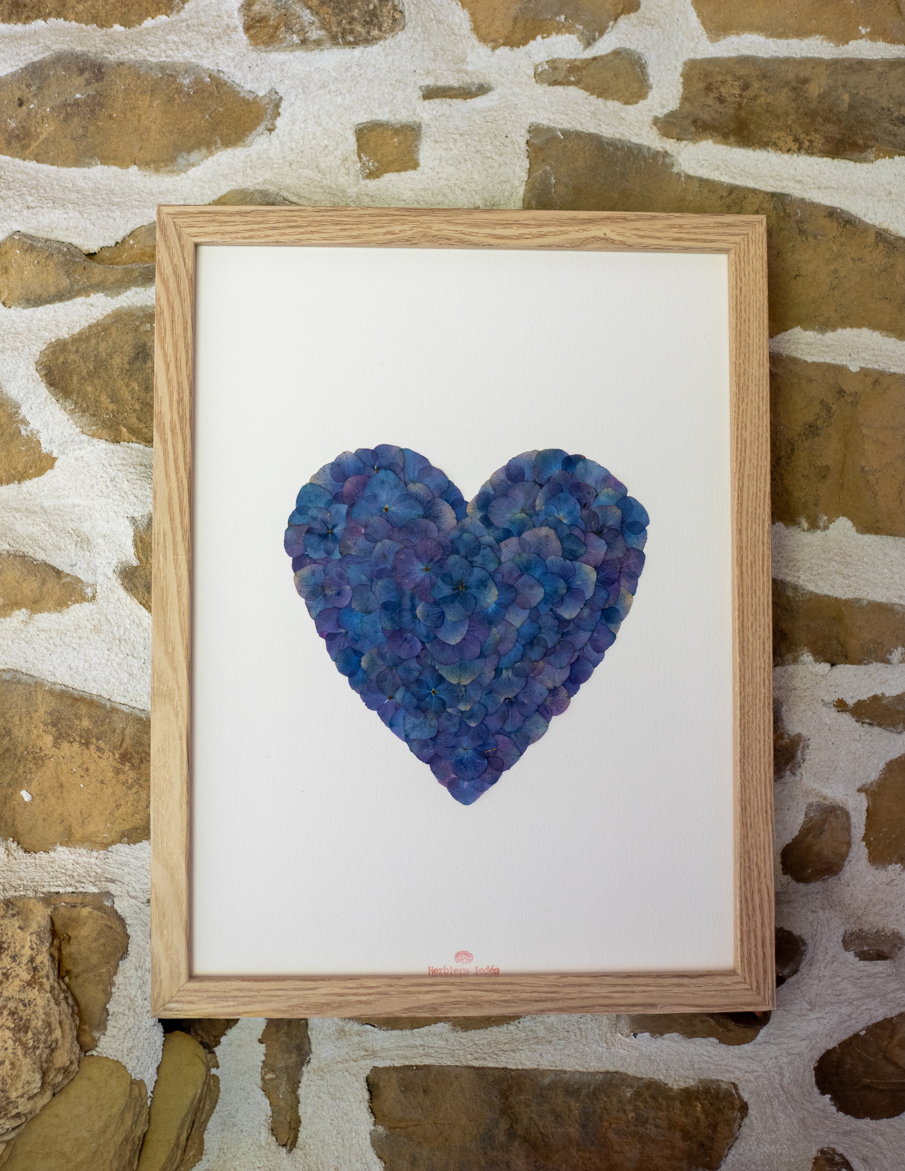 "Coeur écailles océanes" Herbier d'hortensias - 30 x 40 cm