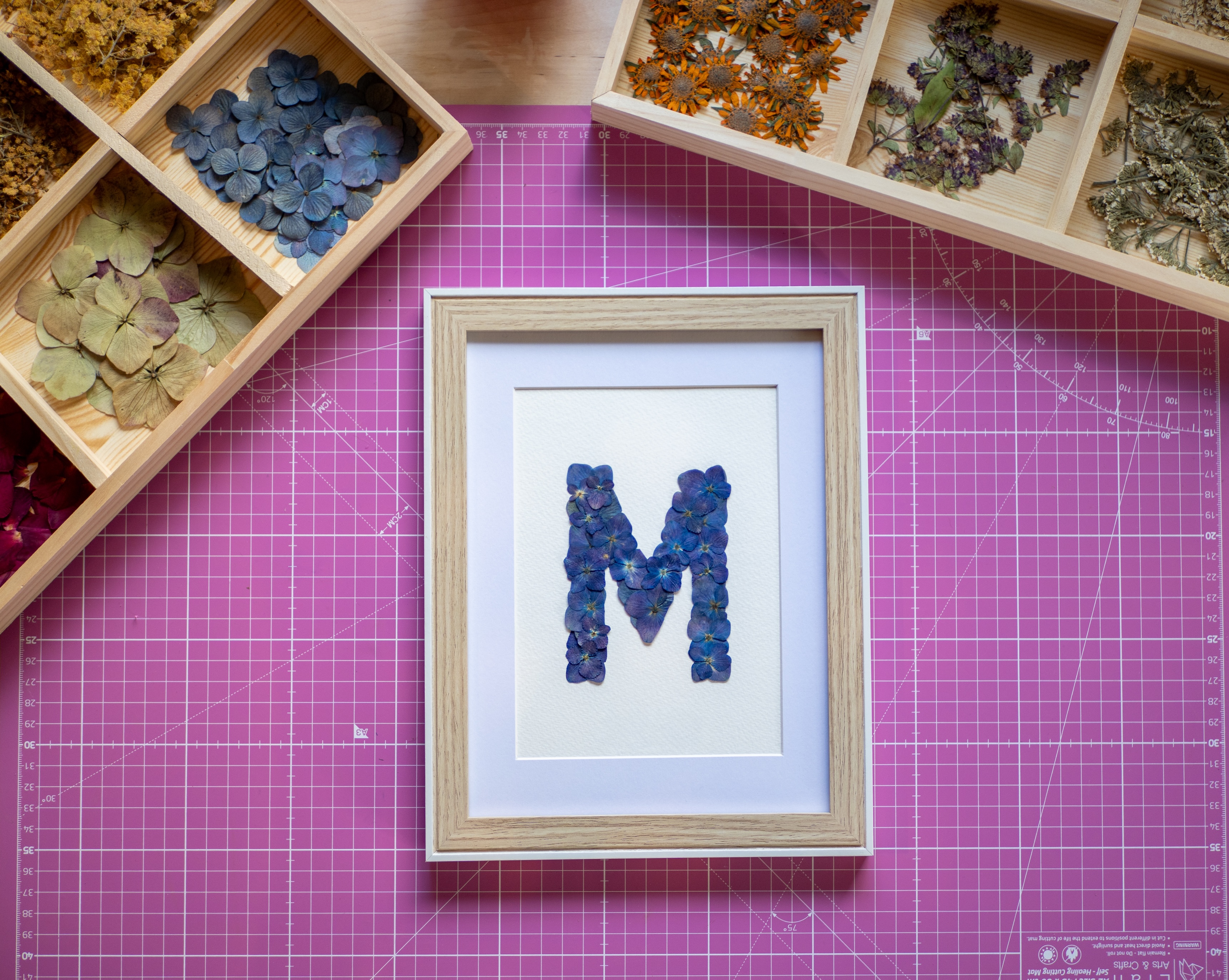 Herbier "Alphabet Iodé" Collection Hortensia