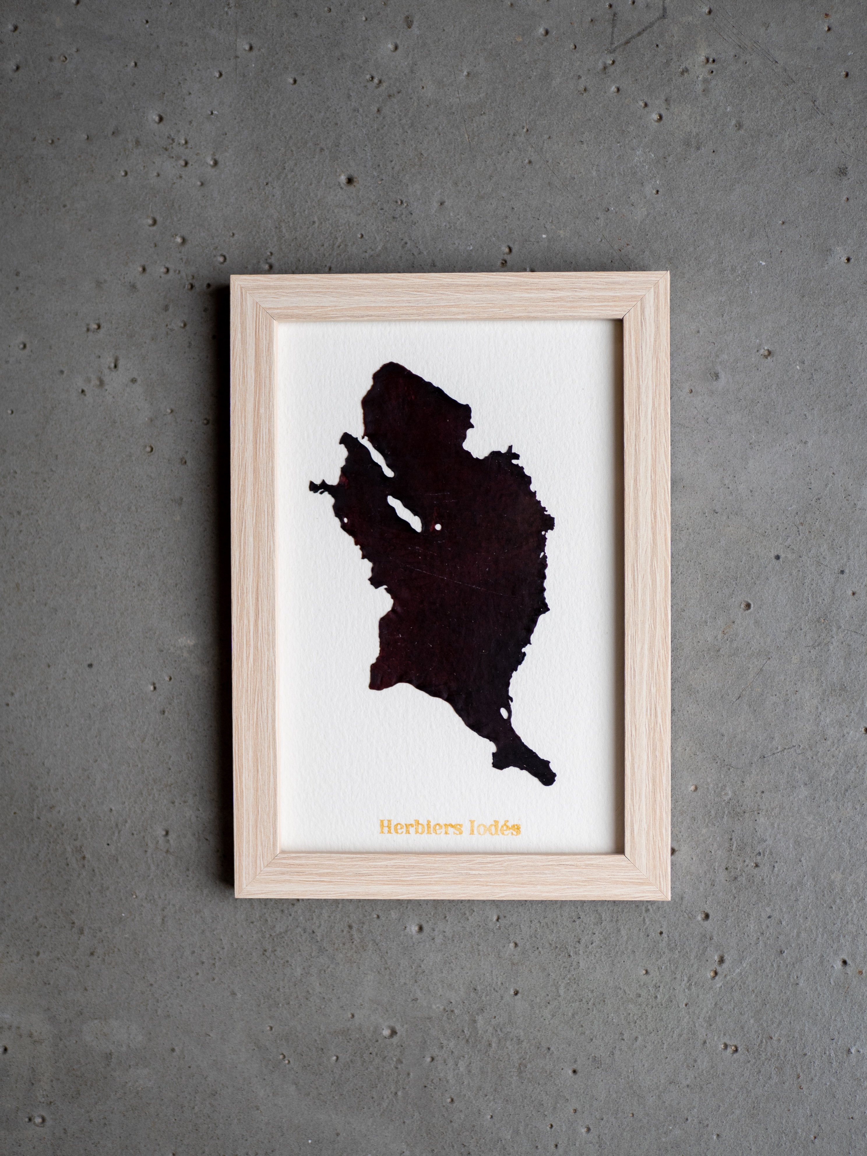 Alguier Nuit Marine 🌑 - Format 10 x 15 cm