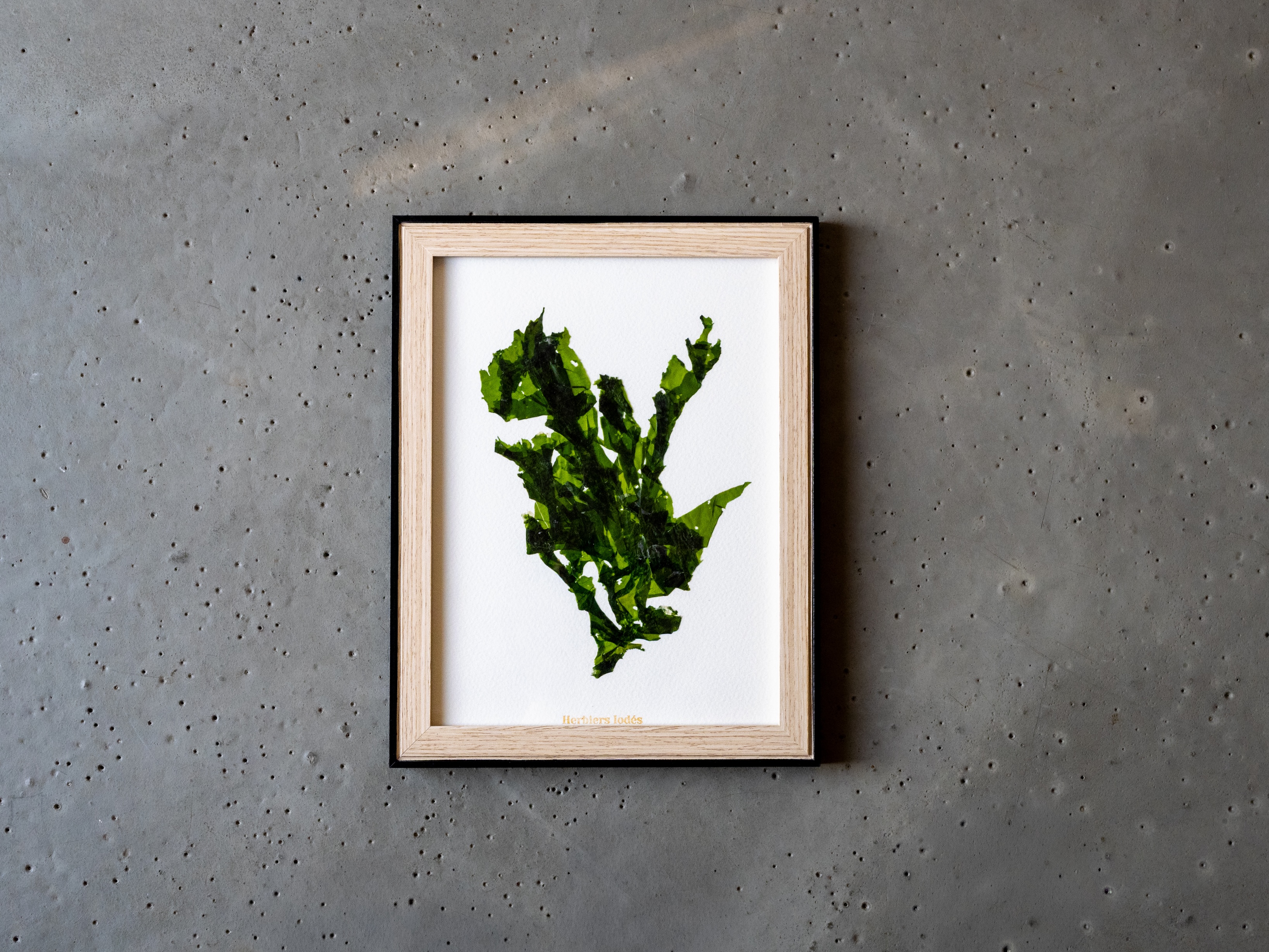 Alguier Feuille d'Océan 🌿 - Format 18 x 24 cm