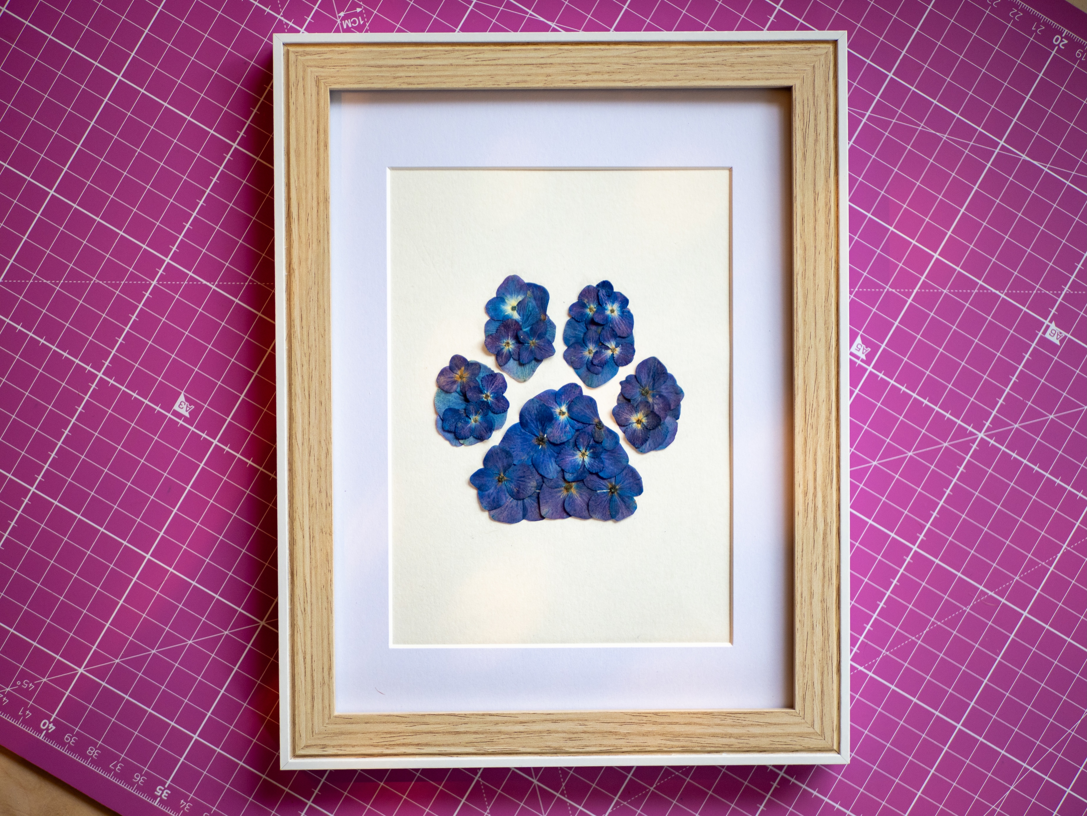 Herbier "Patte Bleue" 🐾  18 x 24 cm