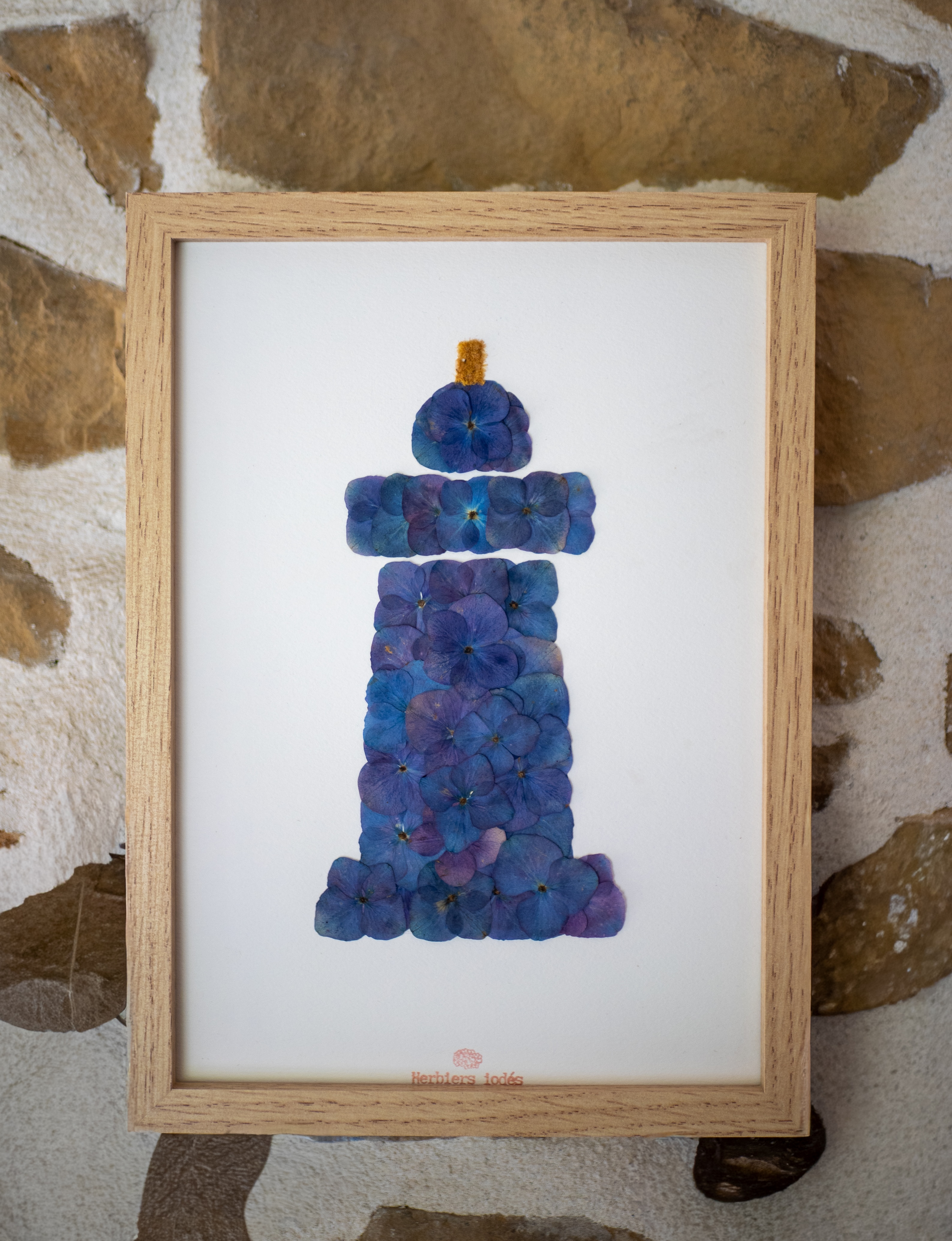 "Phare Breton" Herbier d'hortensias / Mimosa 