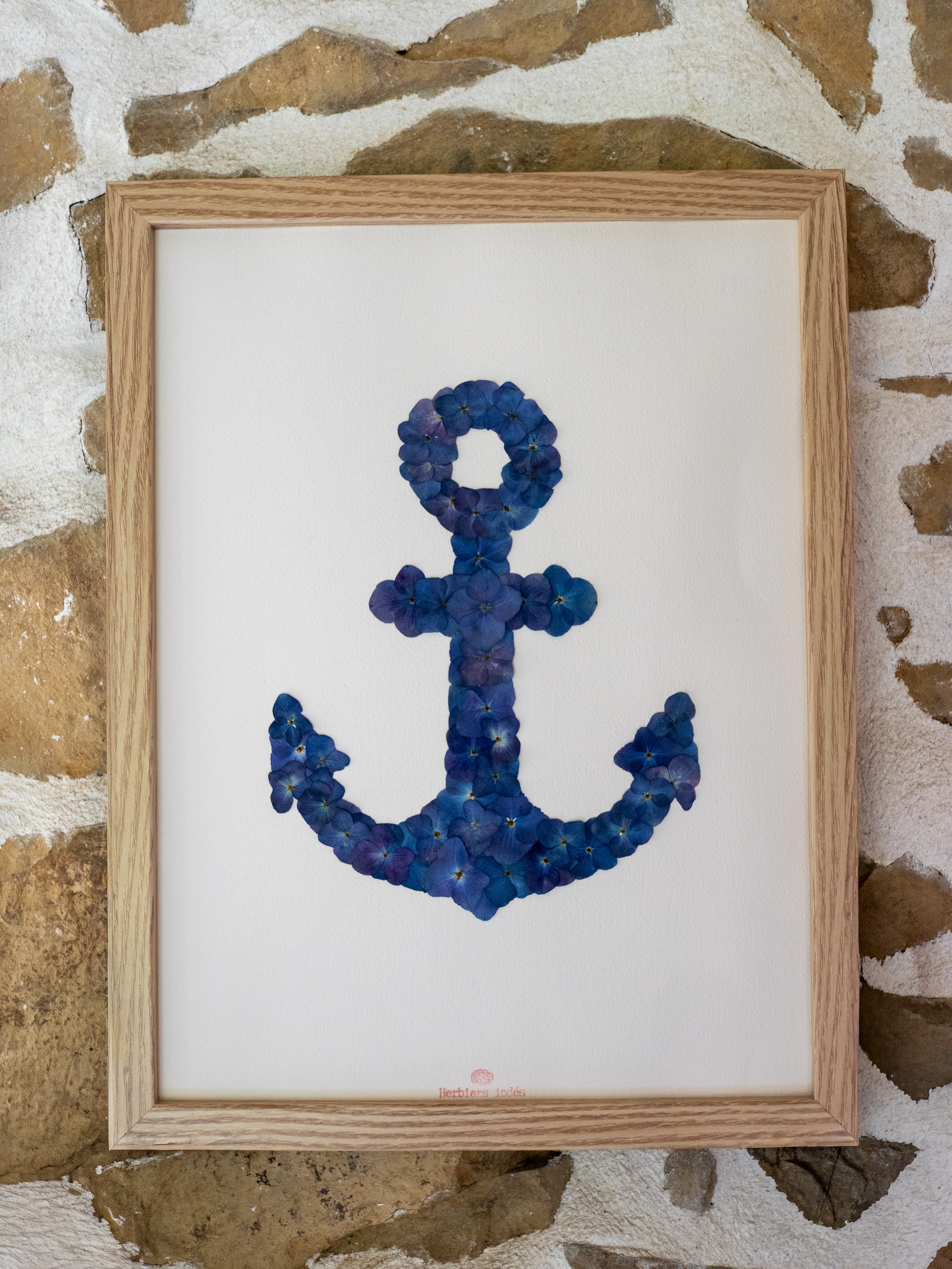 "Ancre Bretonne" Herbier d'hortensias - 30 x 40 cm