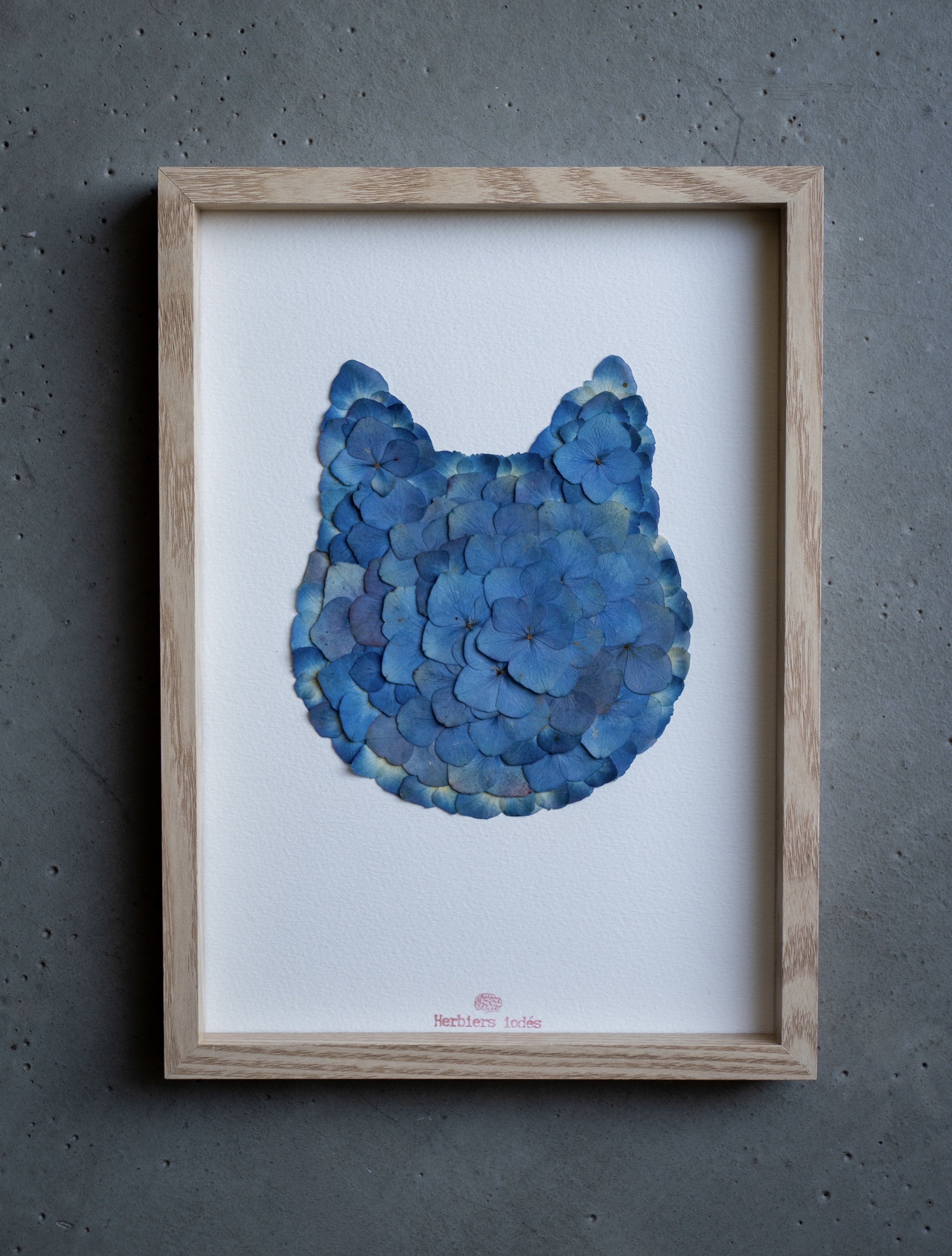 "Chat Contemplatif" Herbier Hortensias Bleus - Format A4