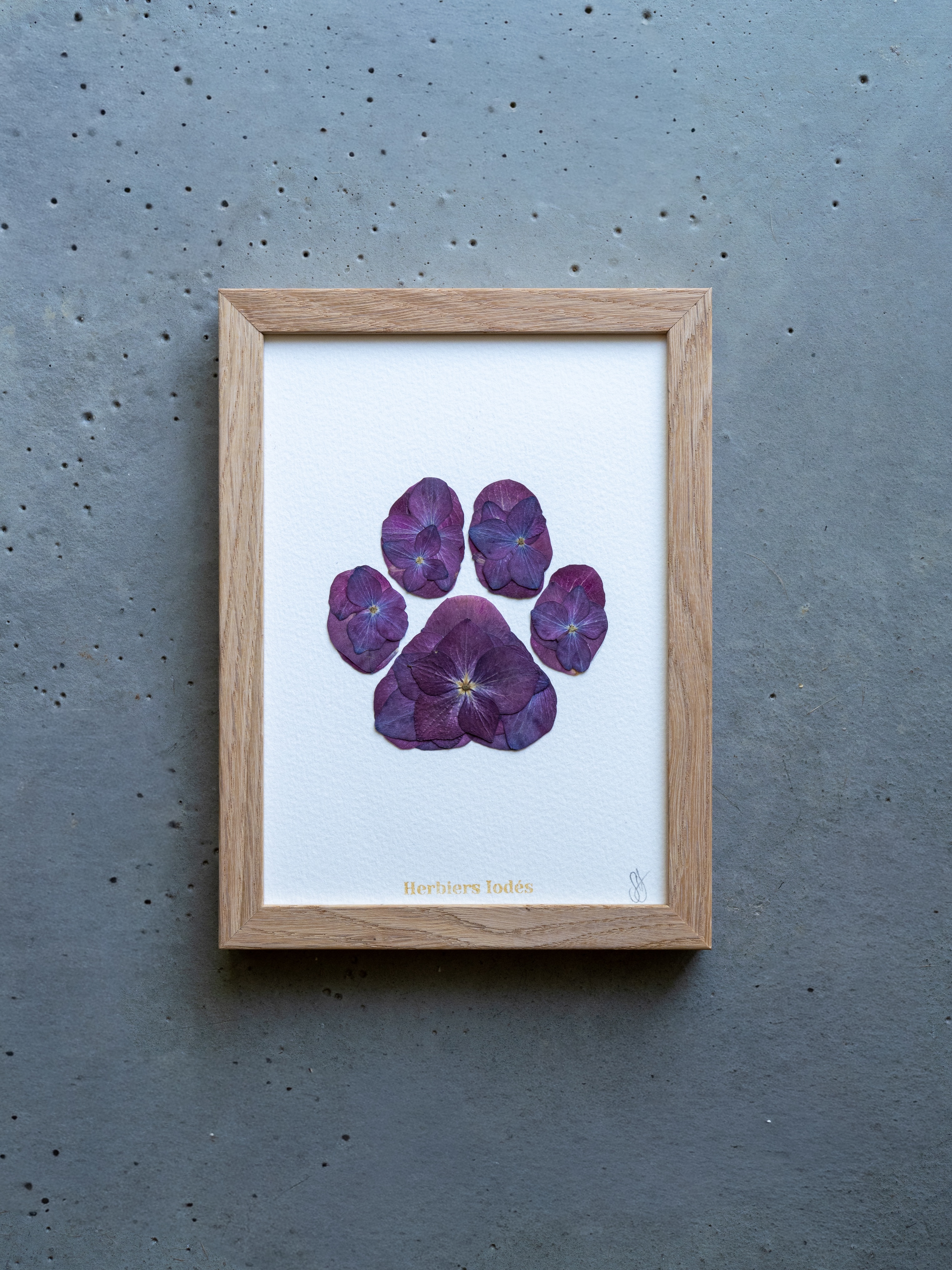 "Patte de Chien" Herbier Floral - 13 x 18 cm