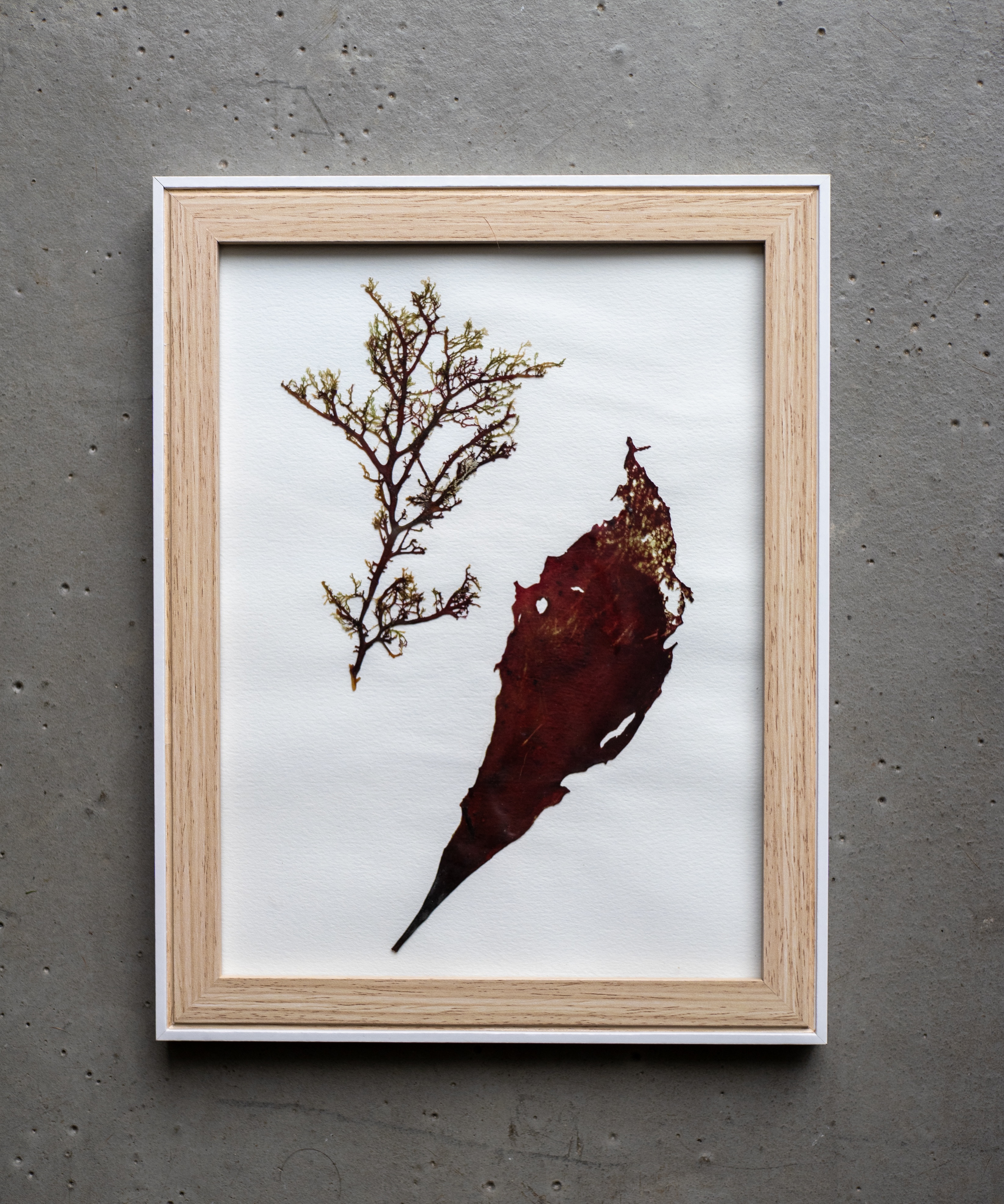 Alguier "Duo Marin" 🌊 - Format 21 X 27 cm