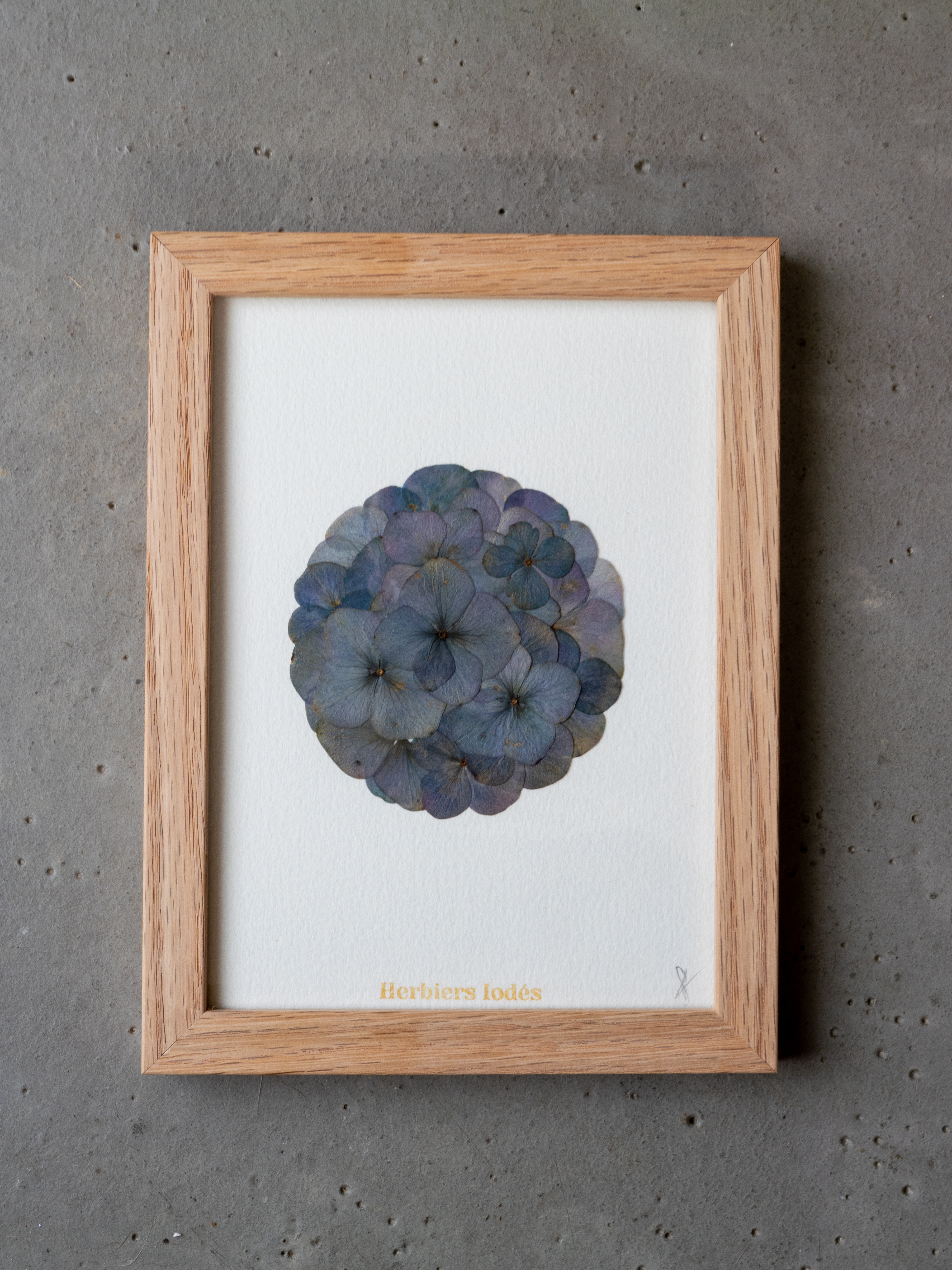 "Mini Mandala Iodé - Brume" Herbier d'hortensias - 13 x 18 cm