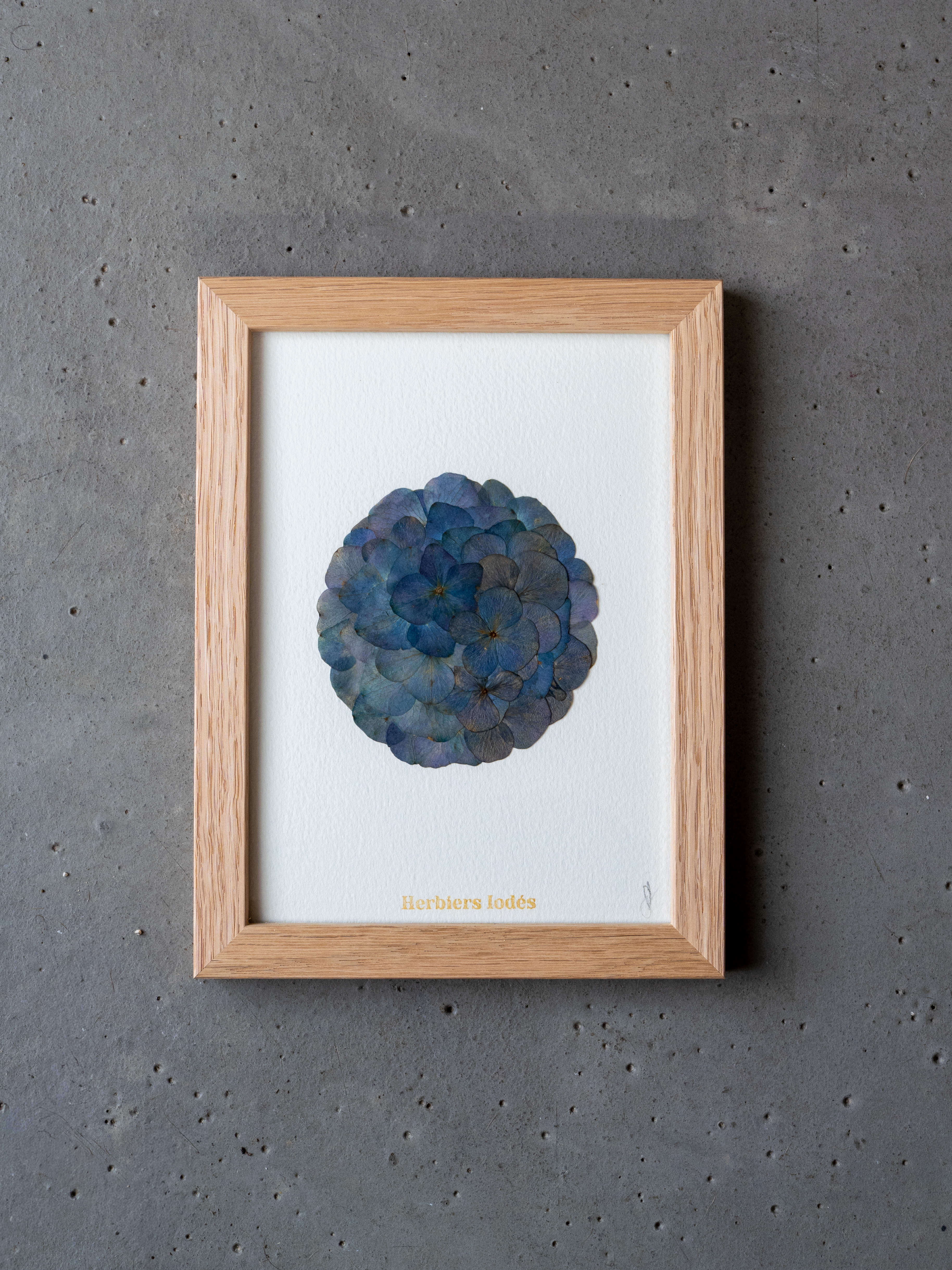 "Mini Mandala Iodé - Abysses" Herbier d'hortensias - 13 x 18 cm