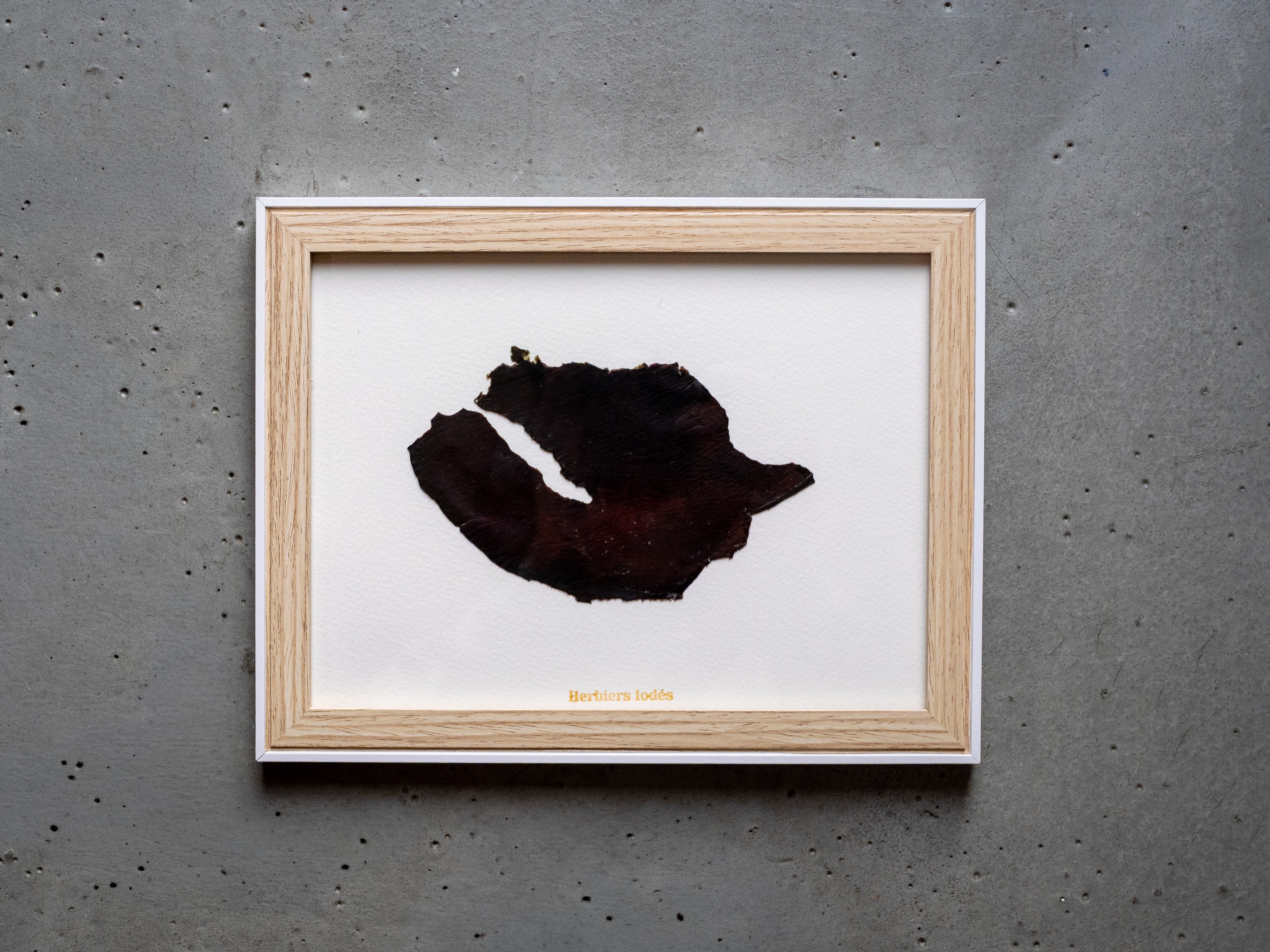 Alguier Cuir Marin 🖤 - Format 18 x 24 cm