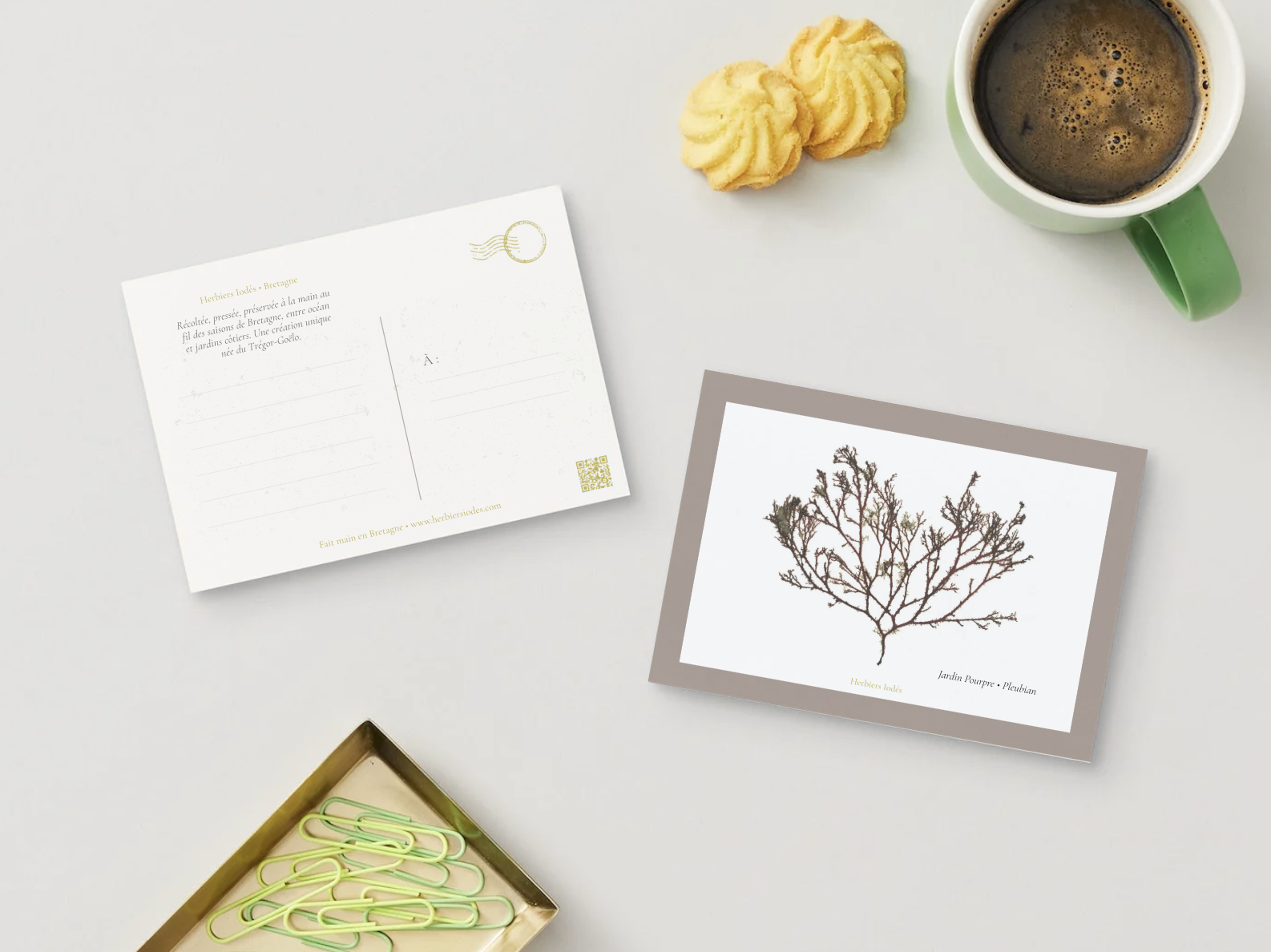 Carte postale "Jardin Pourpre"