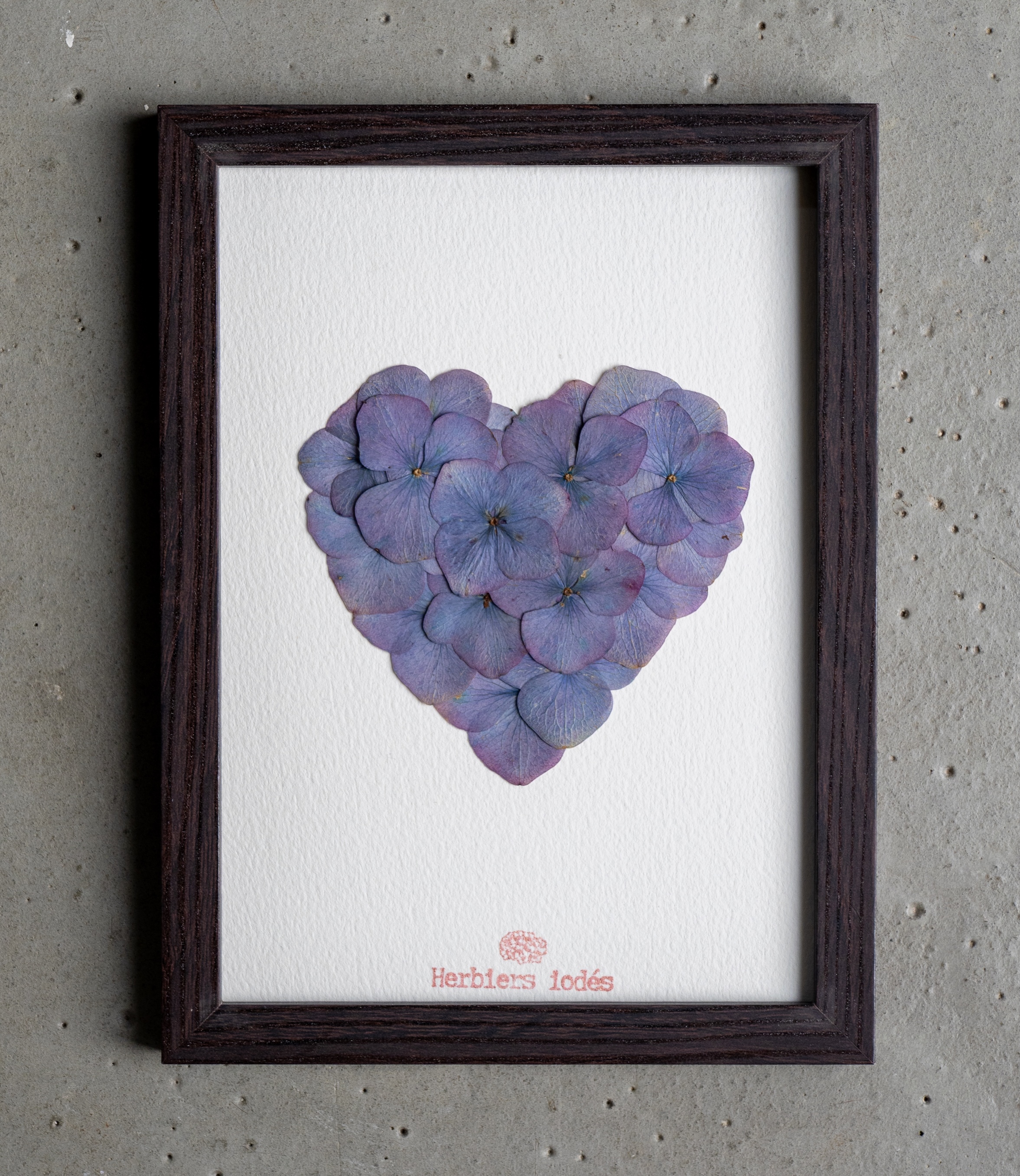 Herbier "Coeur Crépuscule"  hortensias - 13 x 18 cm