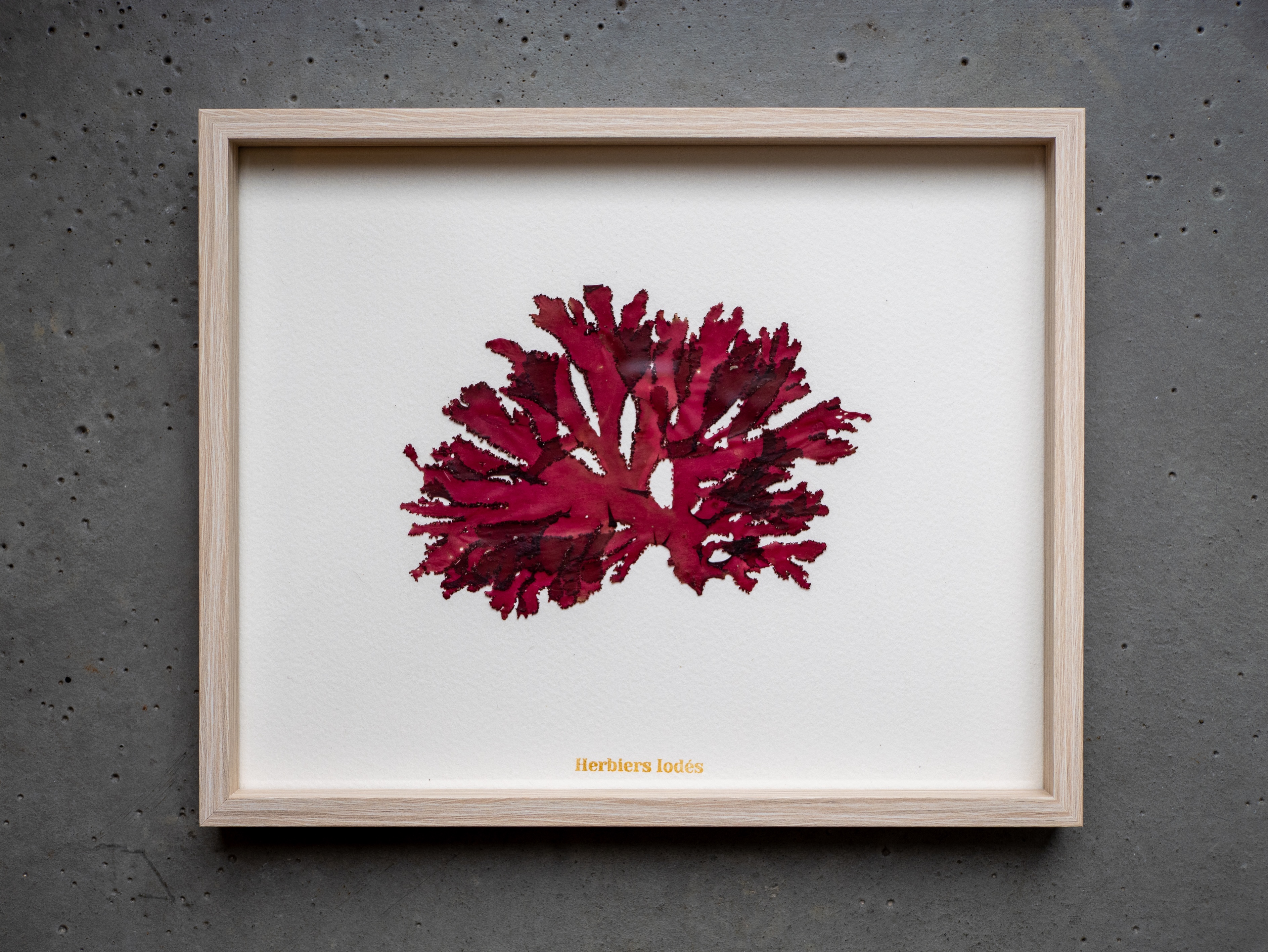 Alguier Rubis de Pors-Béni 💎 - Format 20 x 25 cm