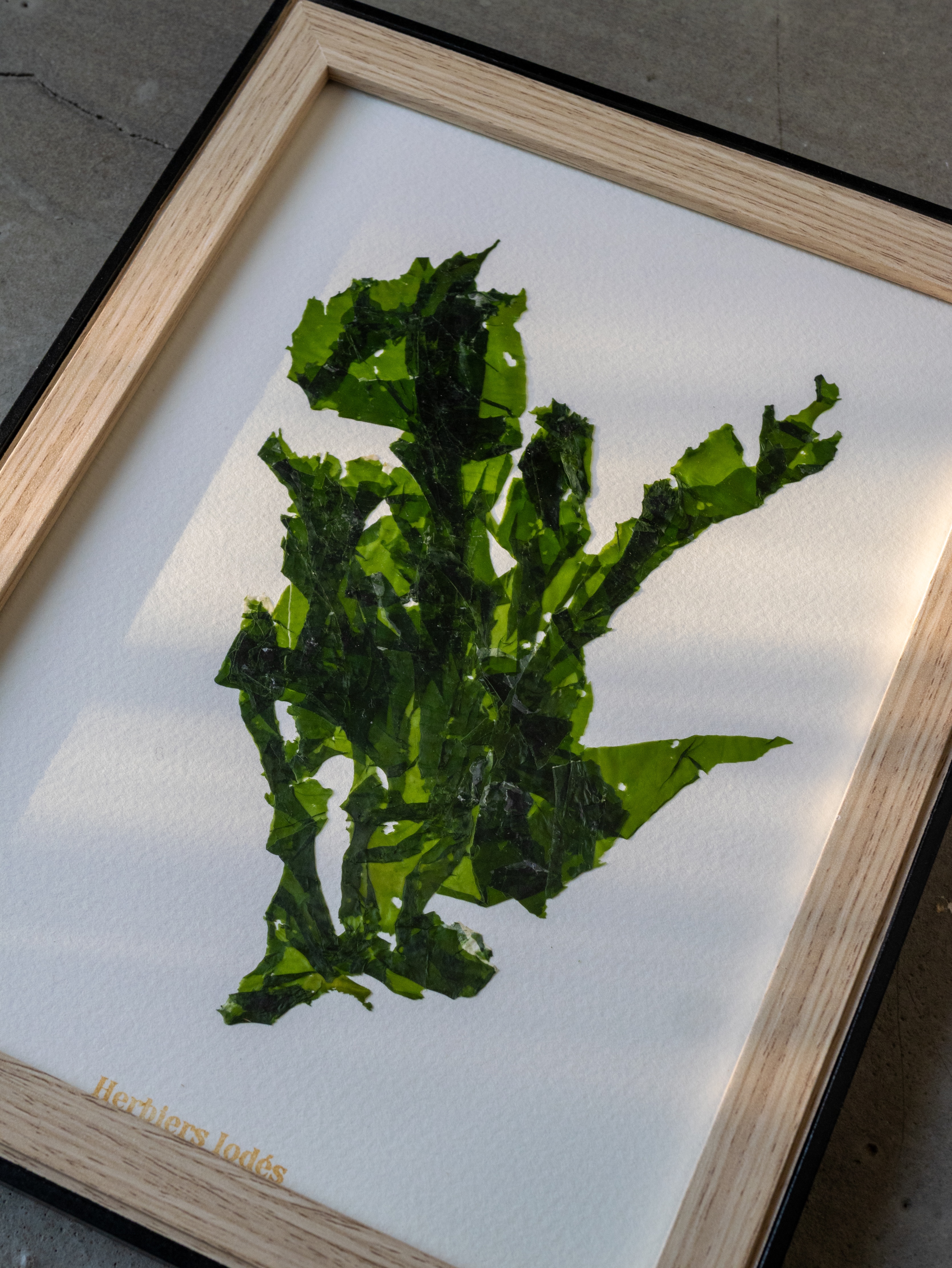 Alguier Feuille d'Océan 🌿 - Format 18 x 24 cm