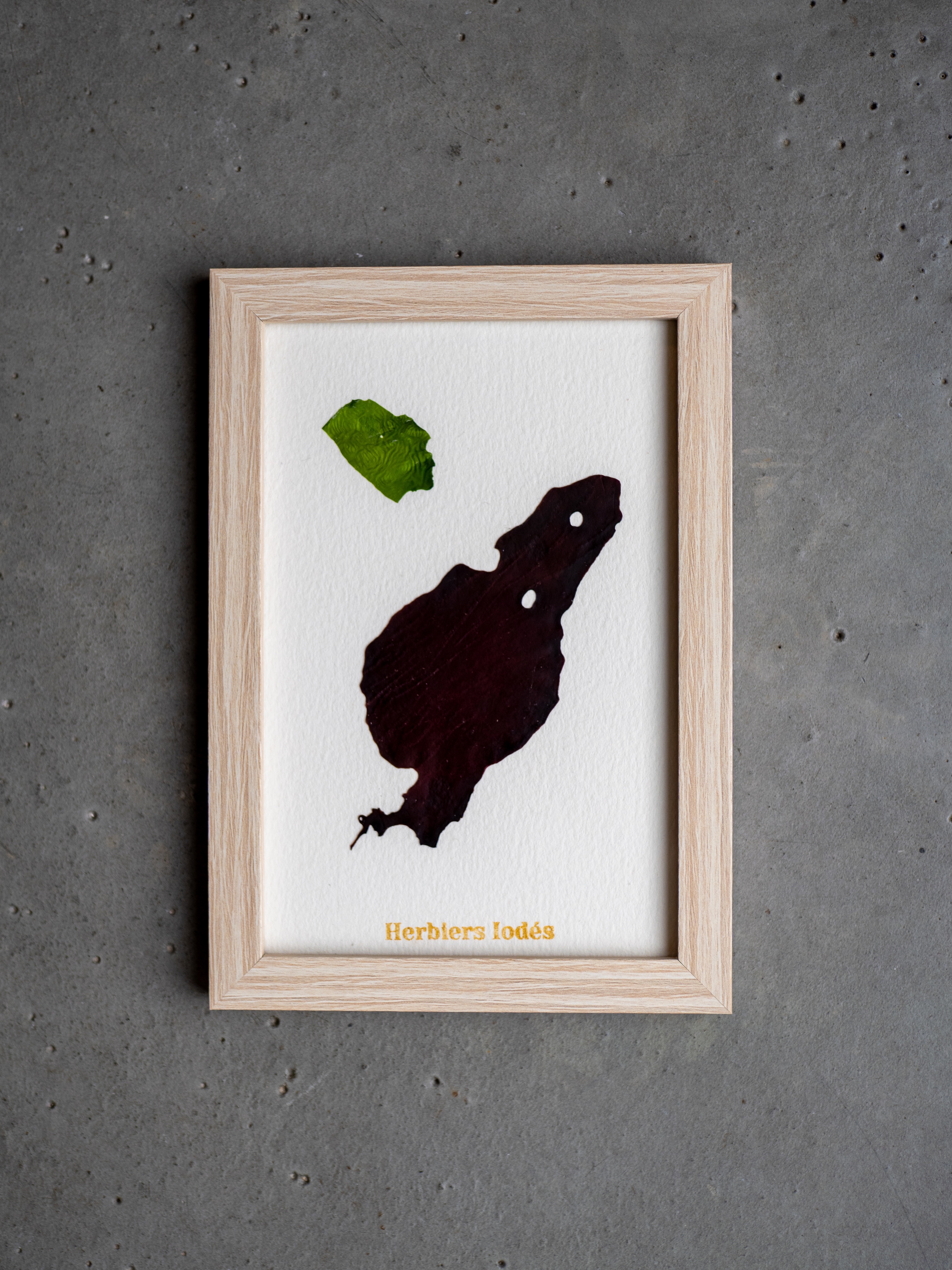 Alguier Duo Contrasté 🎨 - Format 10 x 15 cm 