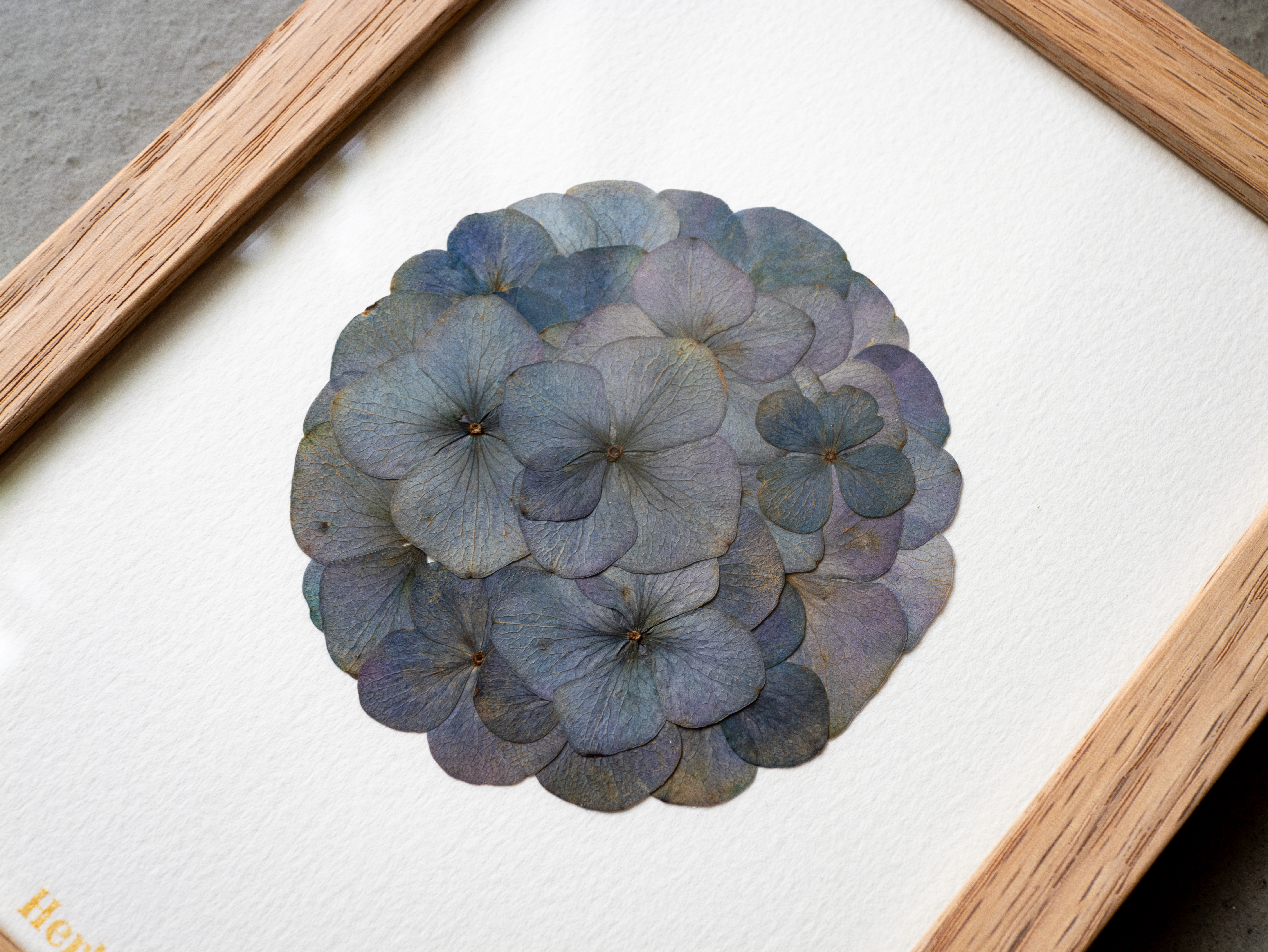 "Mini Mandala Iodé - Brume" Herbier d'hortensias - 13 x 18 cm