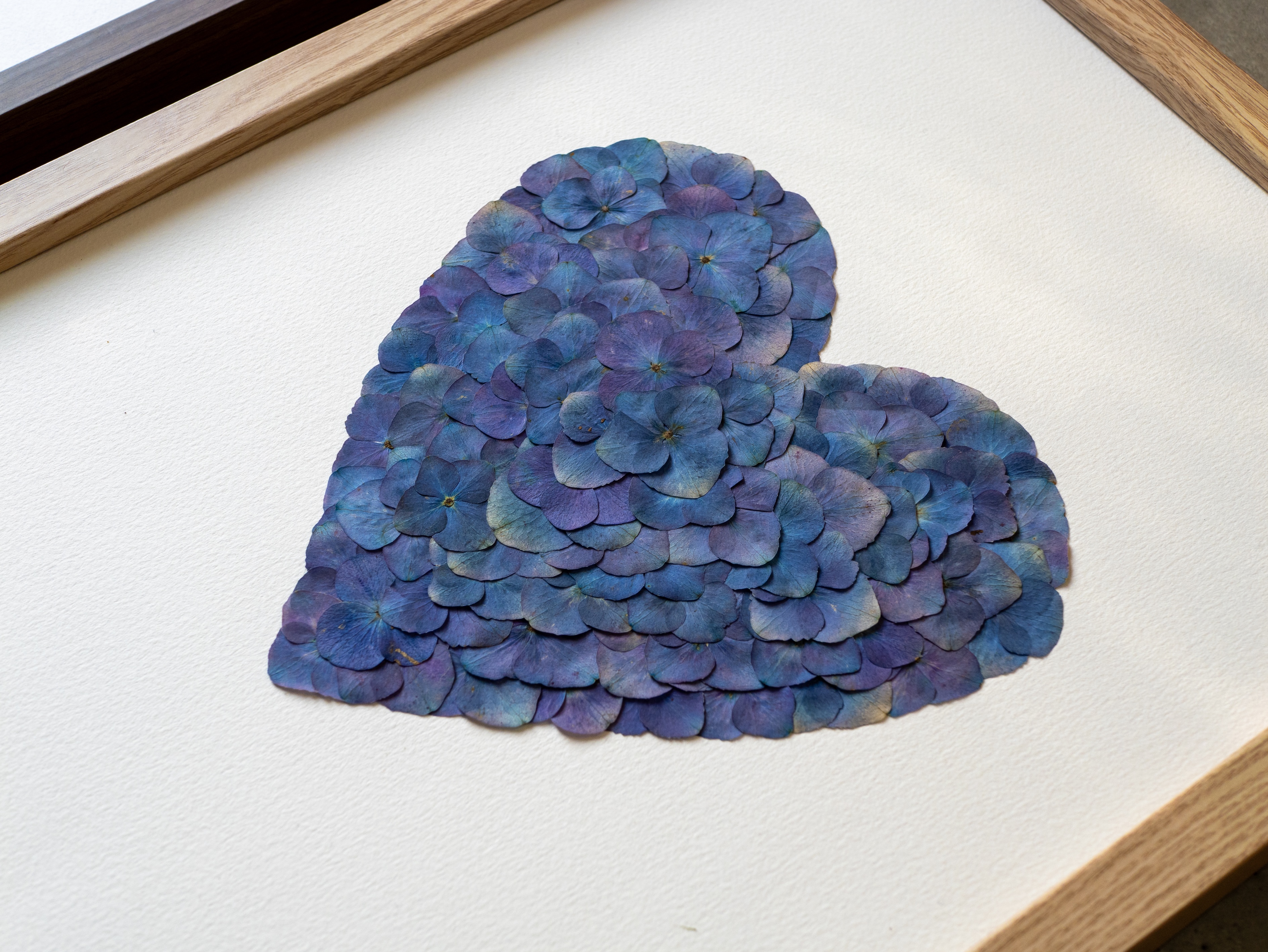 "Coeur écailles océanes" Herbier d'hortensias - 30 x 40 cm