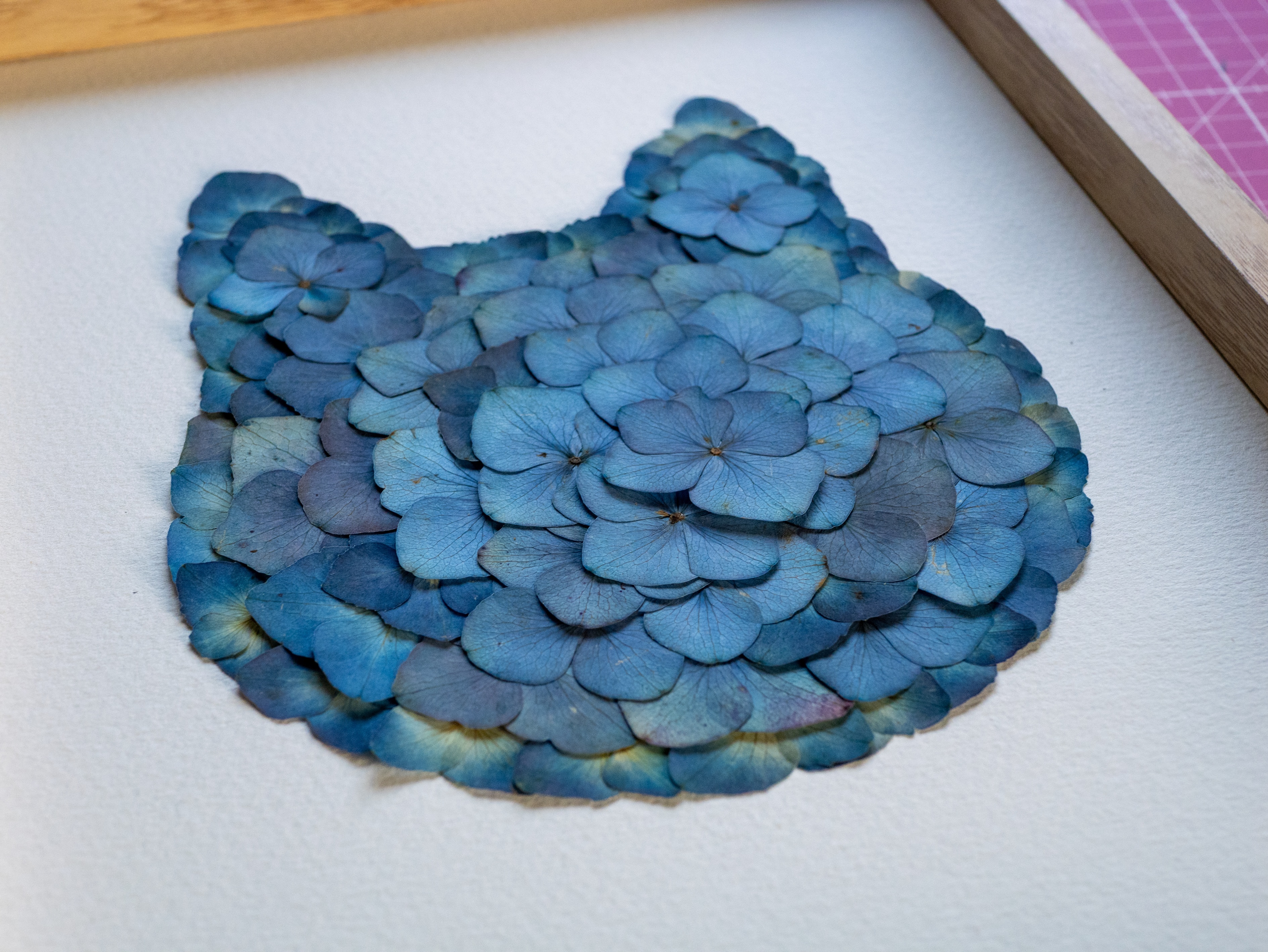 "Chat Contemplatif" Herbier Hortensias Bleus - Format A4