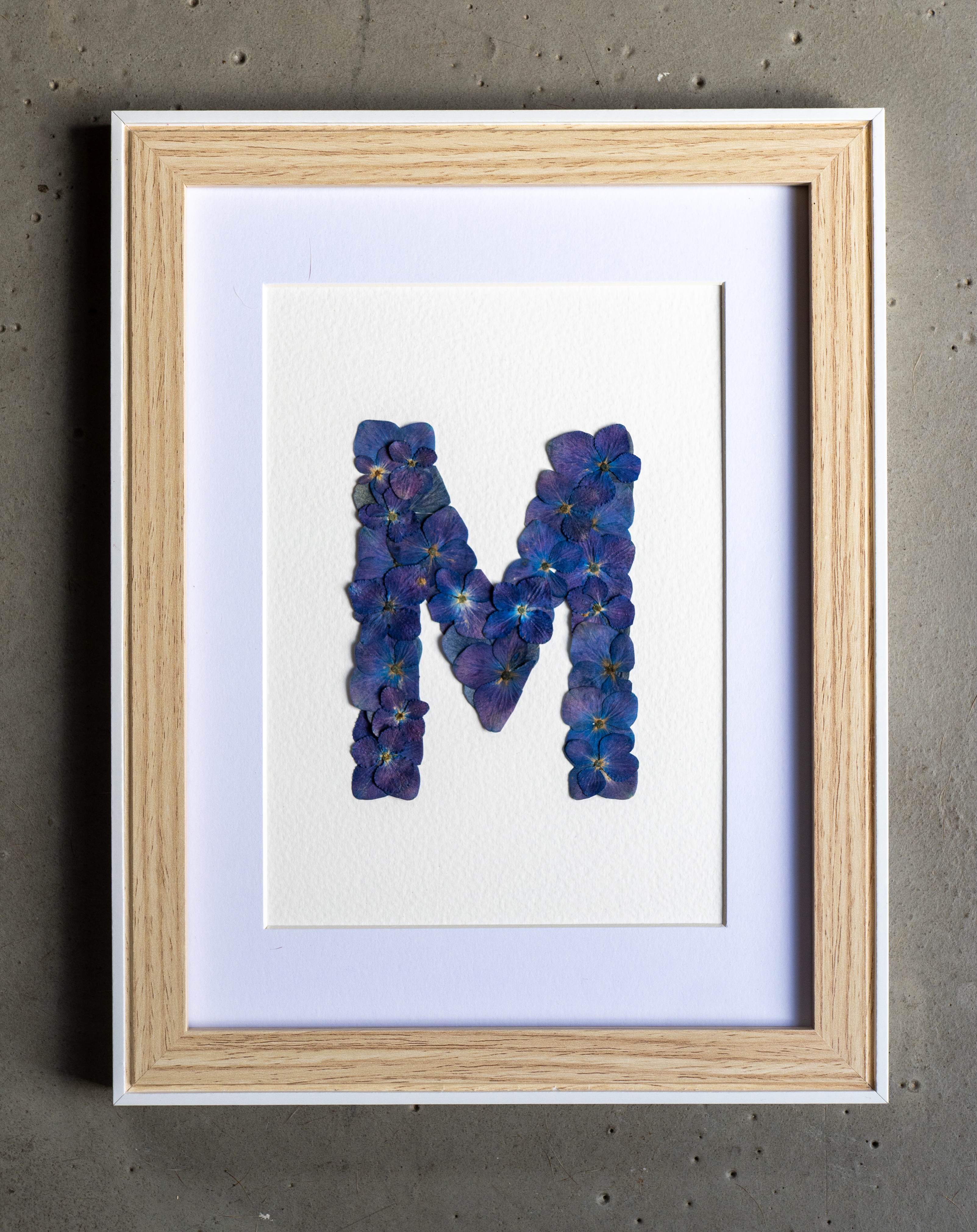 Herbier "Alphabet Iodé" Collection Hortensia