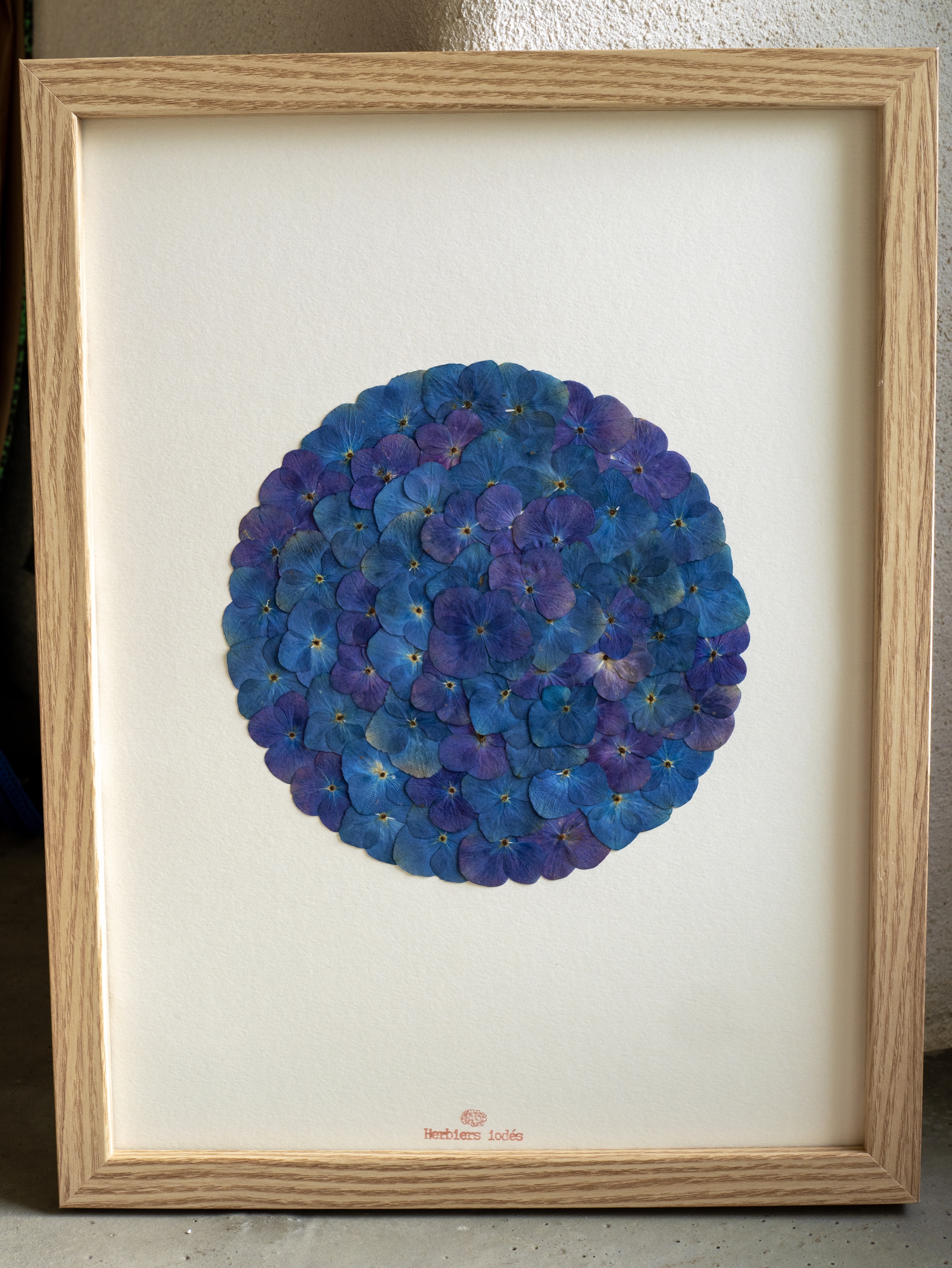 "Mandala Iodé" Herbier d'hortensias - 30 x 40 cm