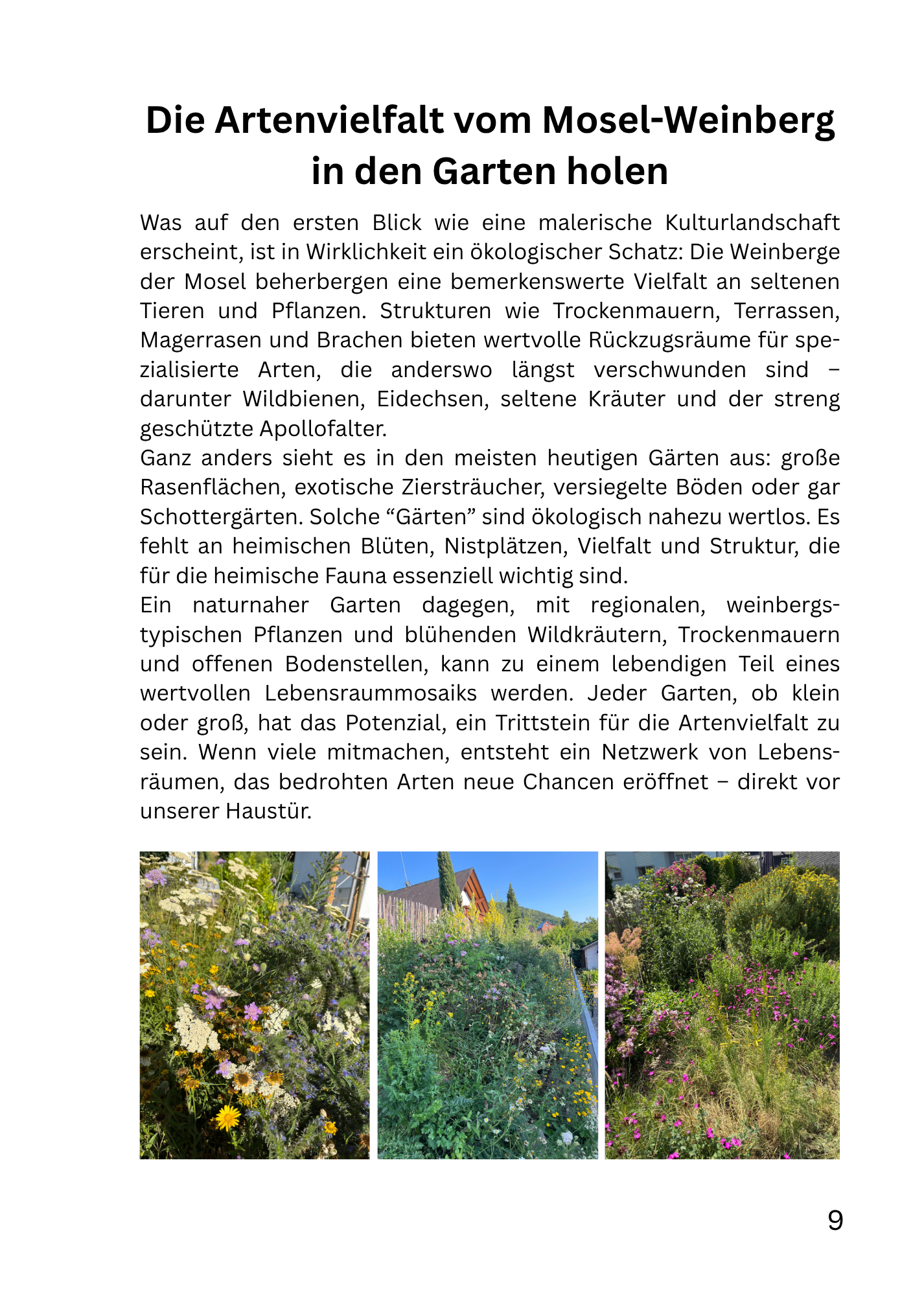 Artenvielfalt. Vom Weinberg in den Garten.