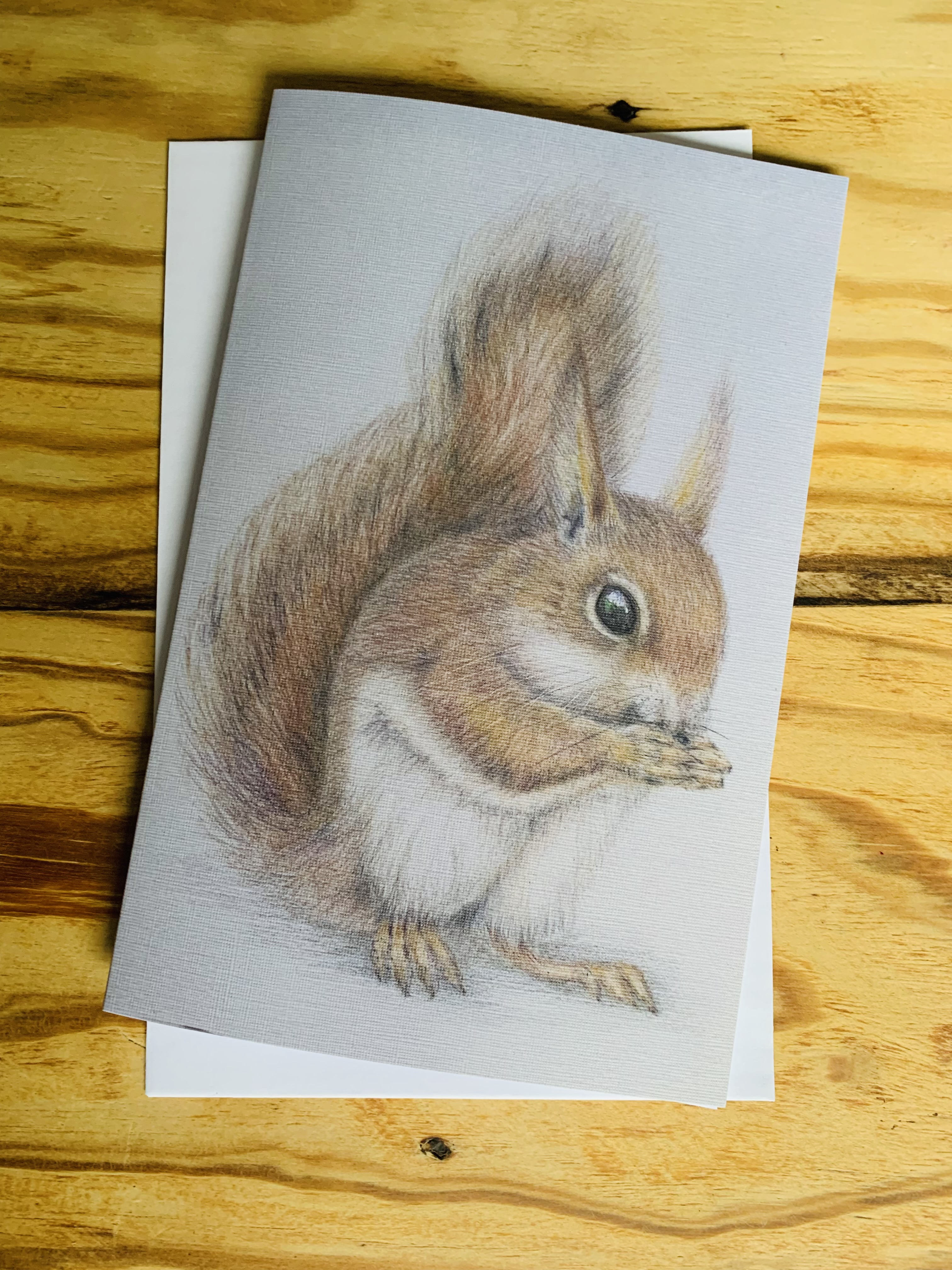 Red Squirrel card