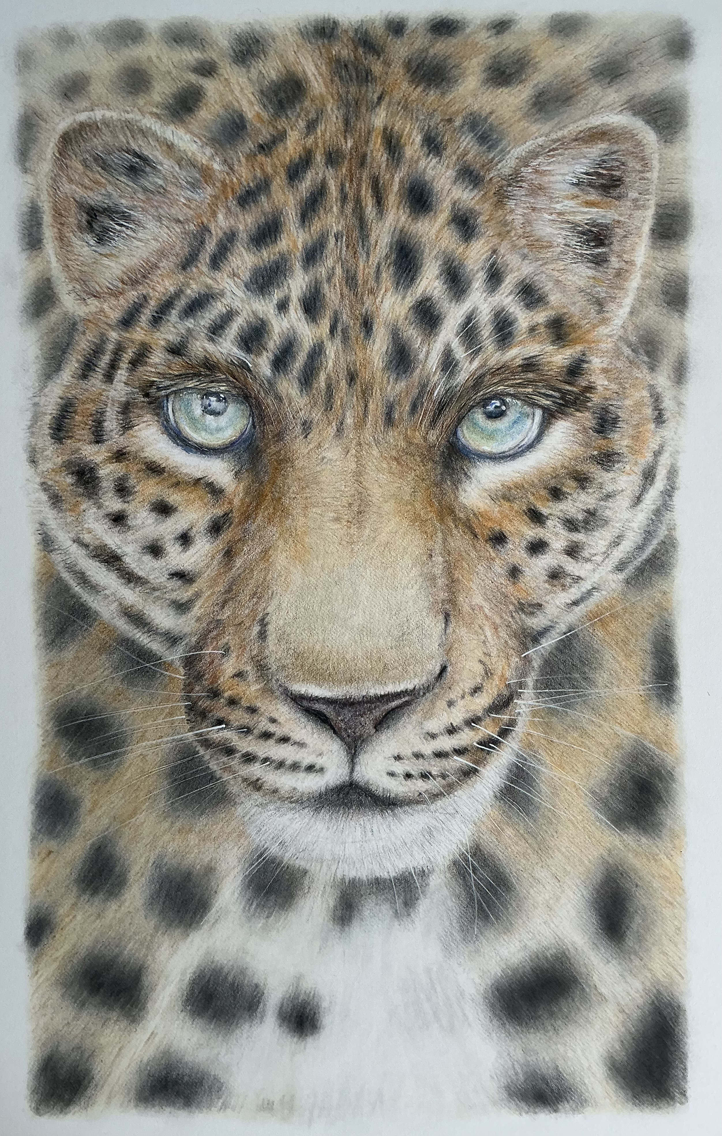 ‘Assessing’ - Original