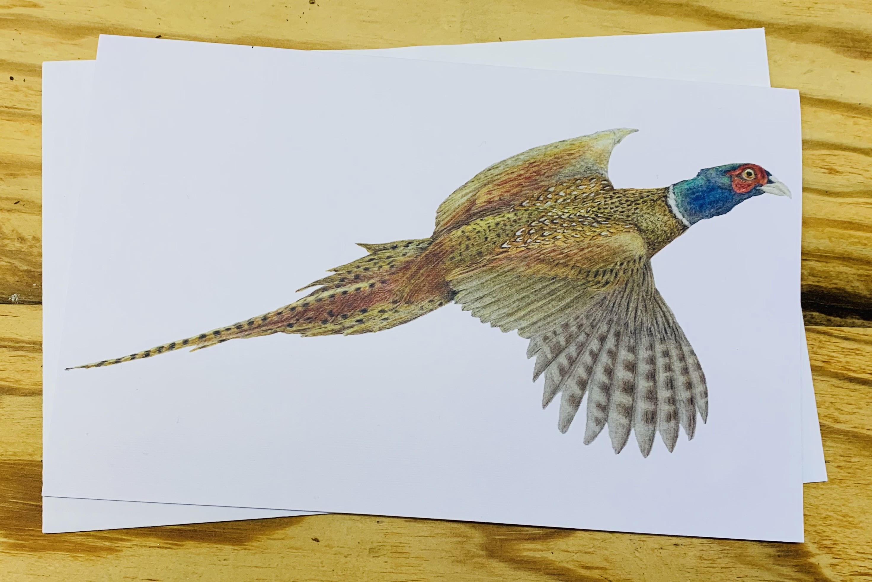 Pheasant card