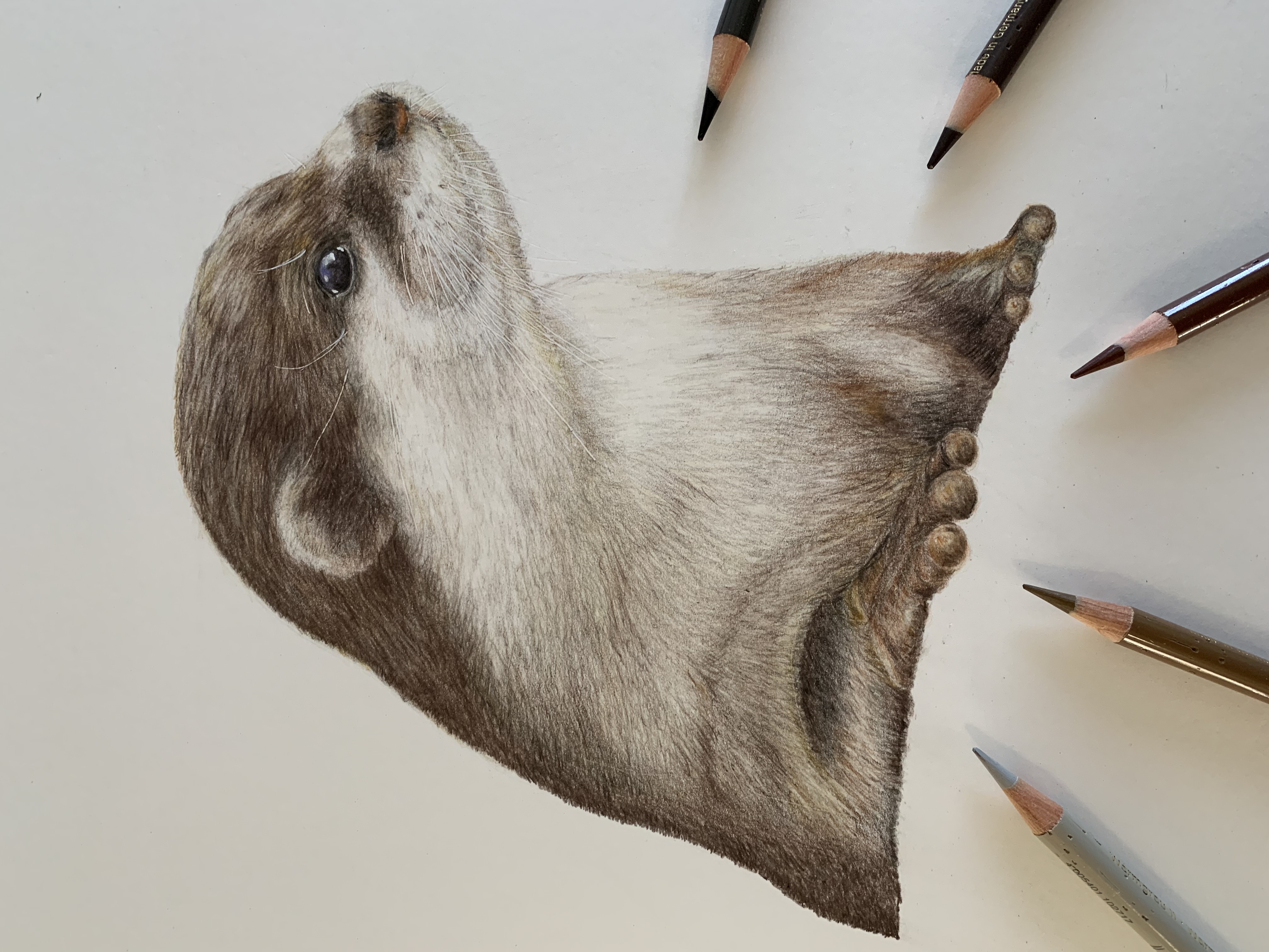 ‘Alert’ - Original