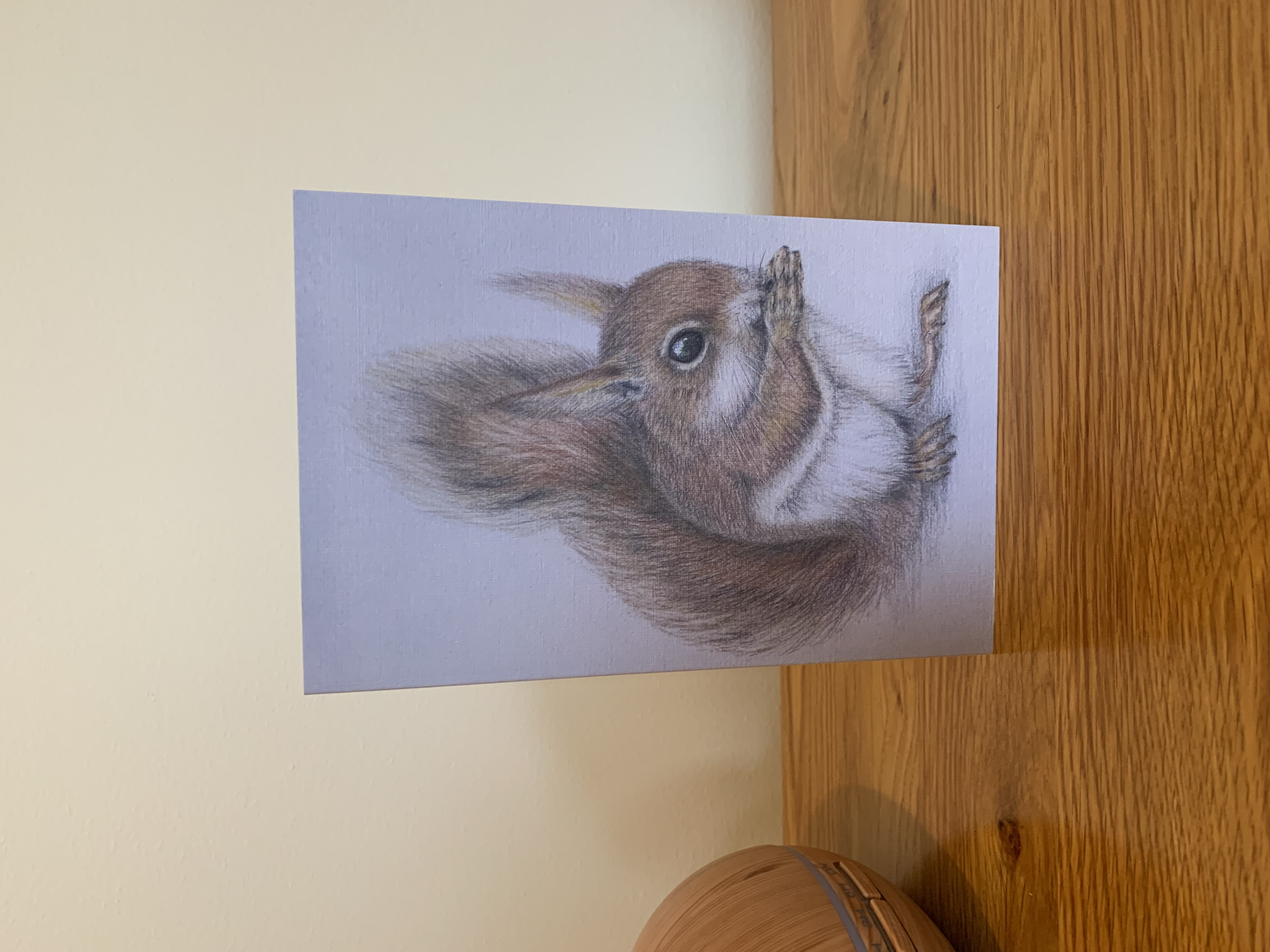 Red Squirrel card